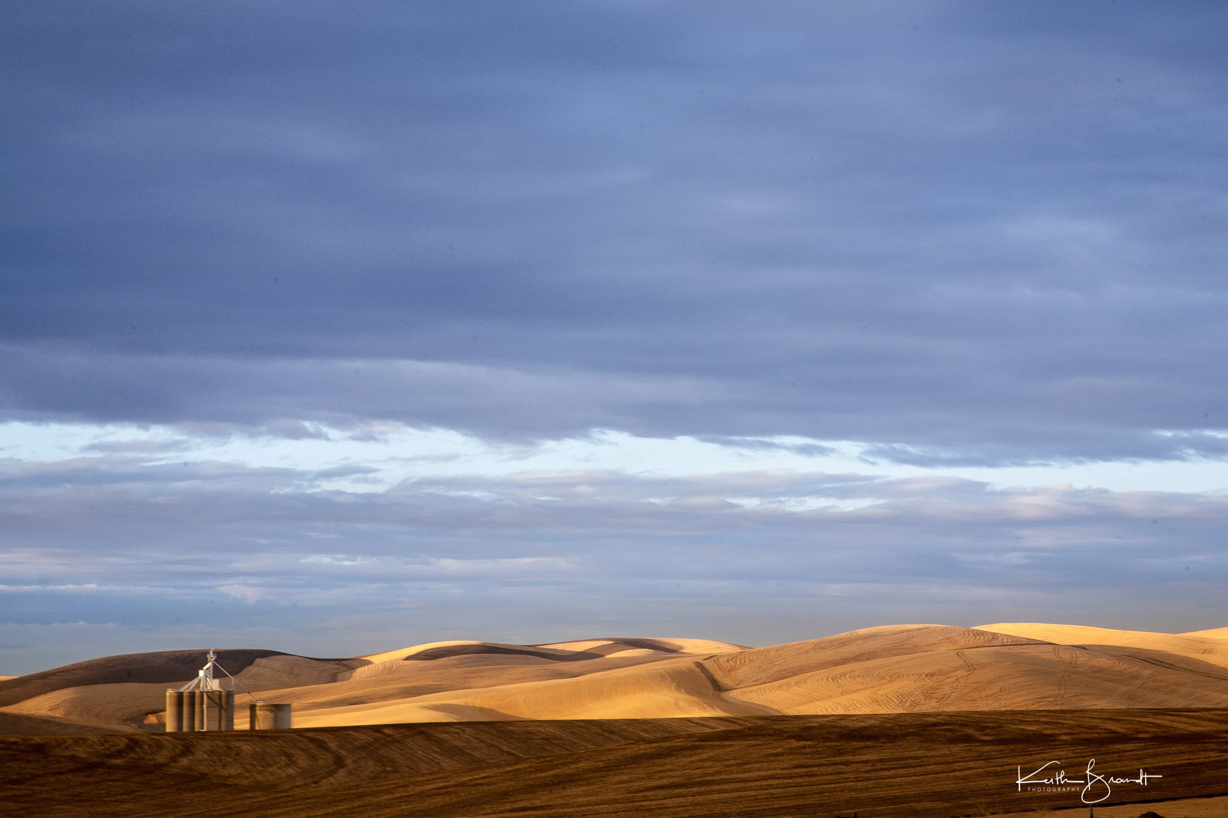 Walla Walla Wheat Fields (1 of 1).JPG