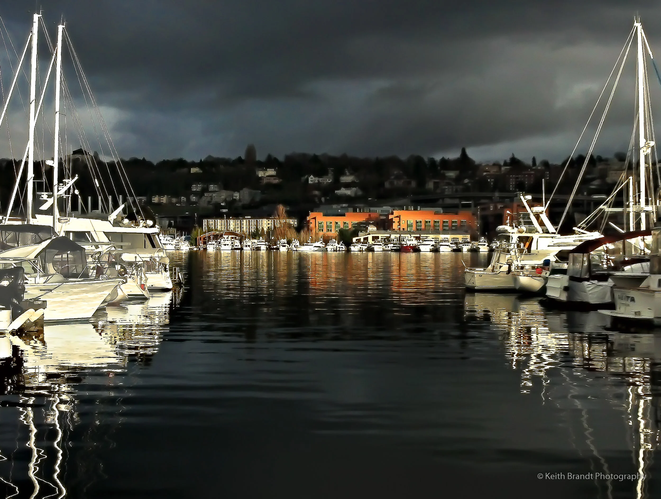 Washington State (2 of 2)-2.JPG