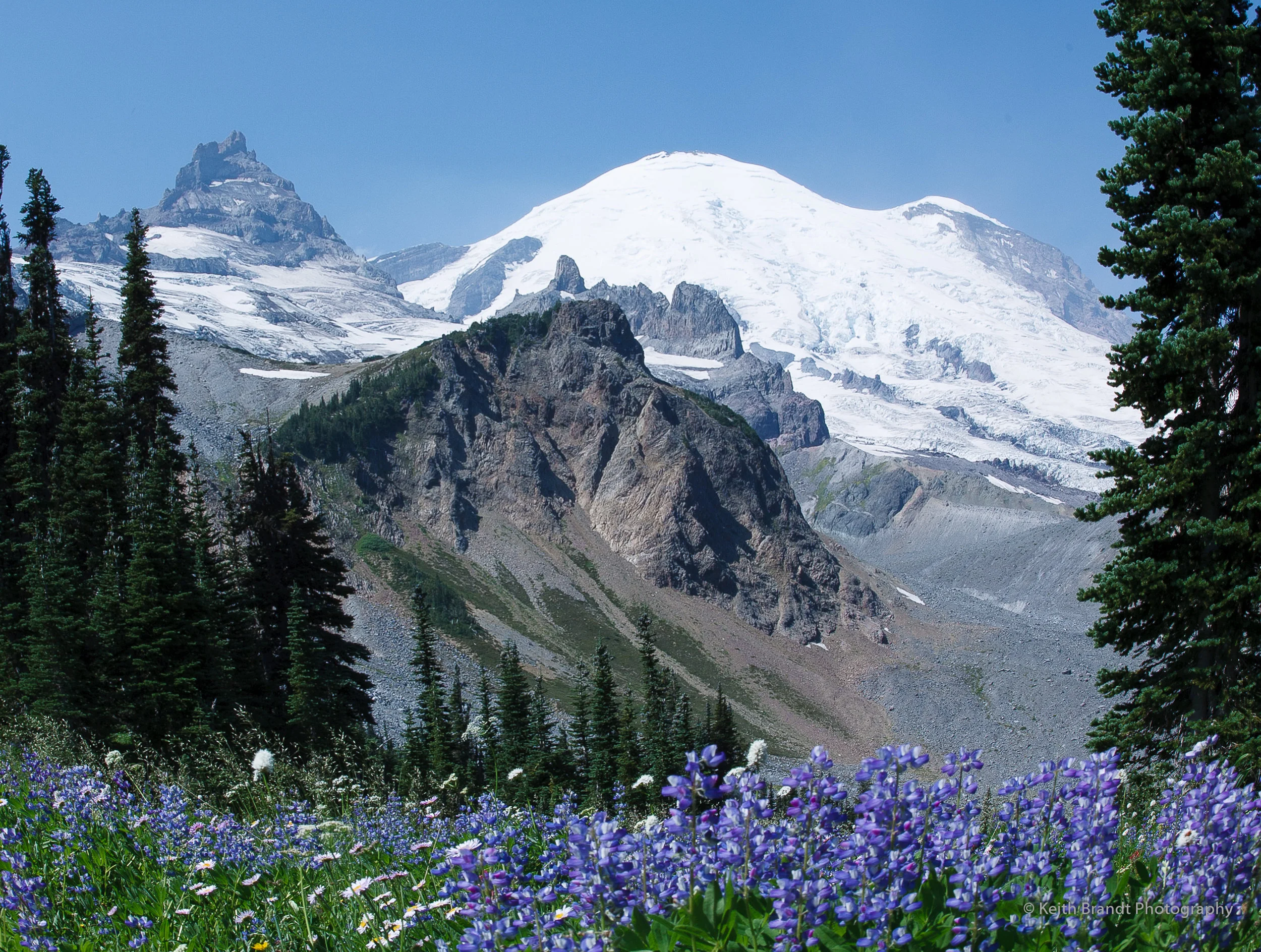 Washington State (1 of 2)-2.JPG