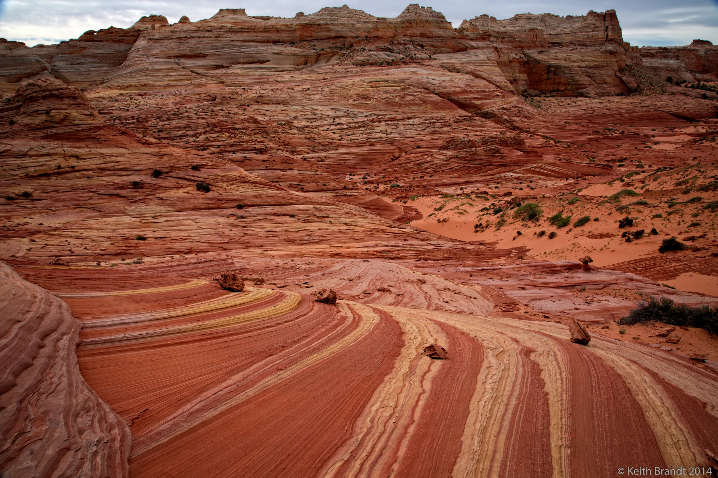 Wave Trip 5 Star Photos-8.JPG