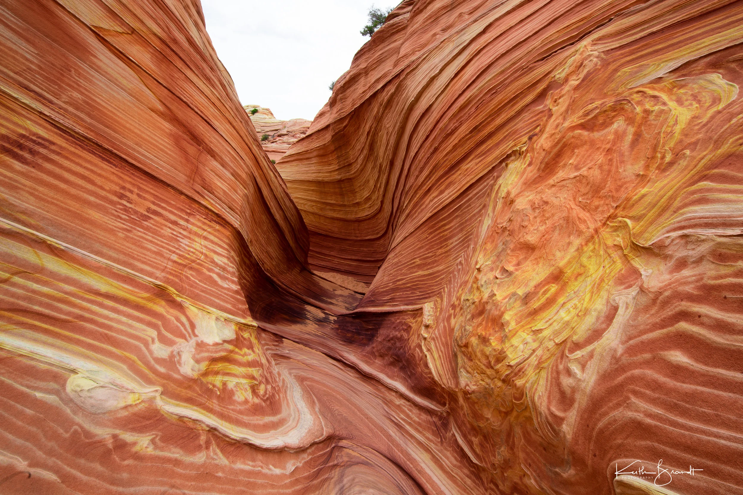 North Coyote Buttes (1 of 1)-7.JPG