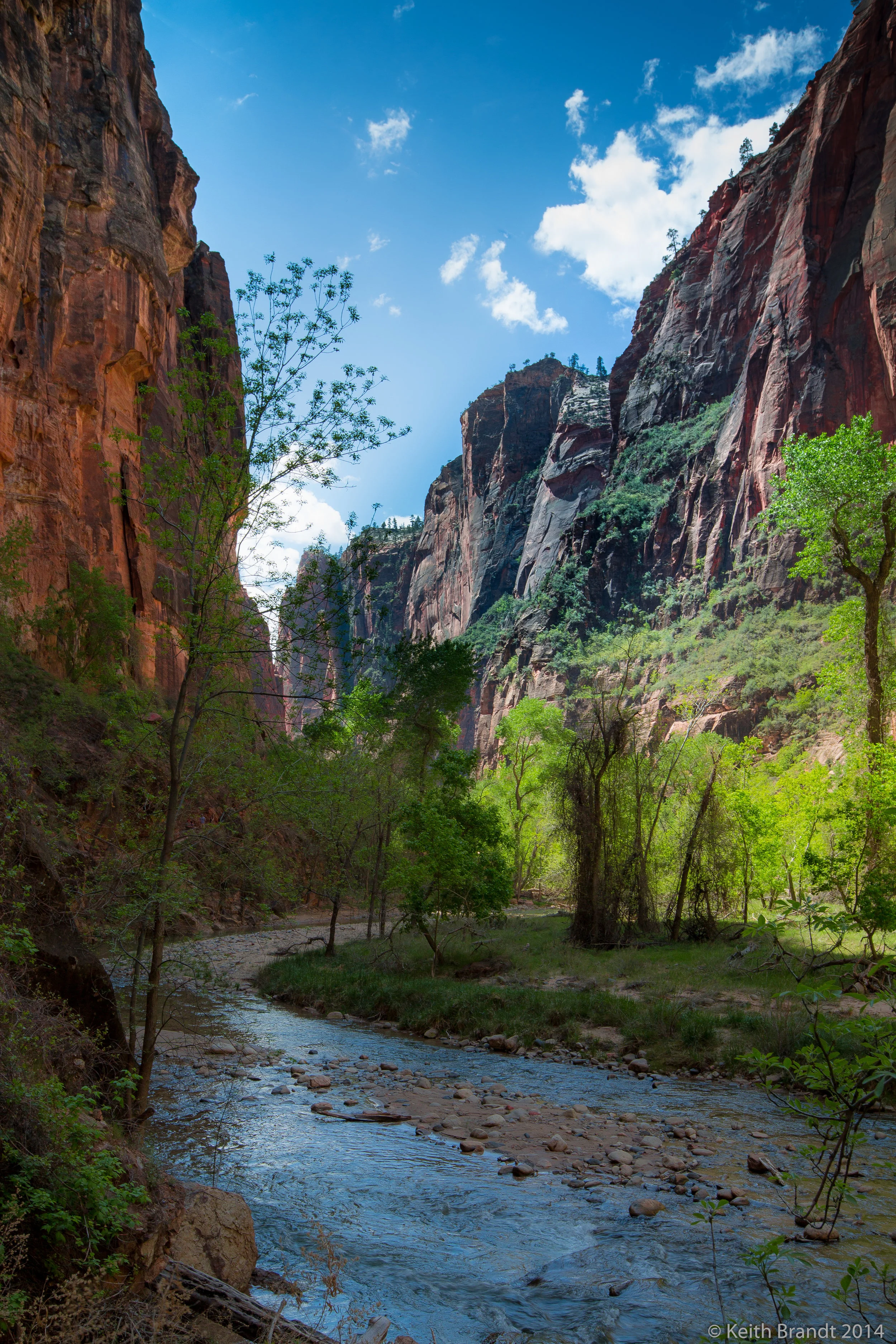 Wave Trip 5 Star Photos-2.JPG