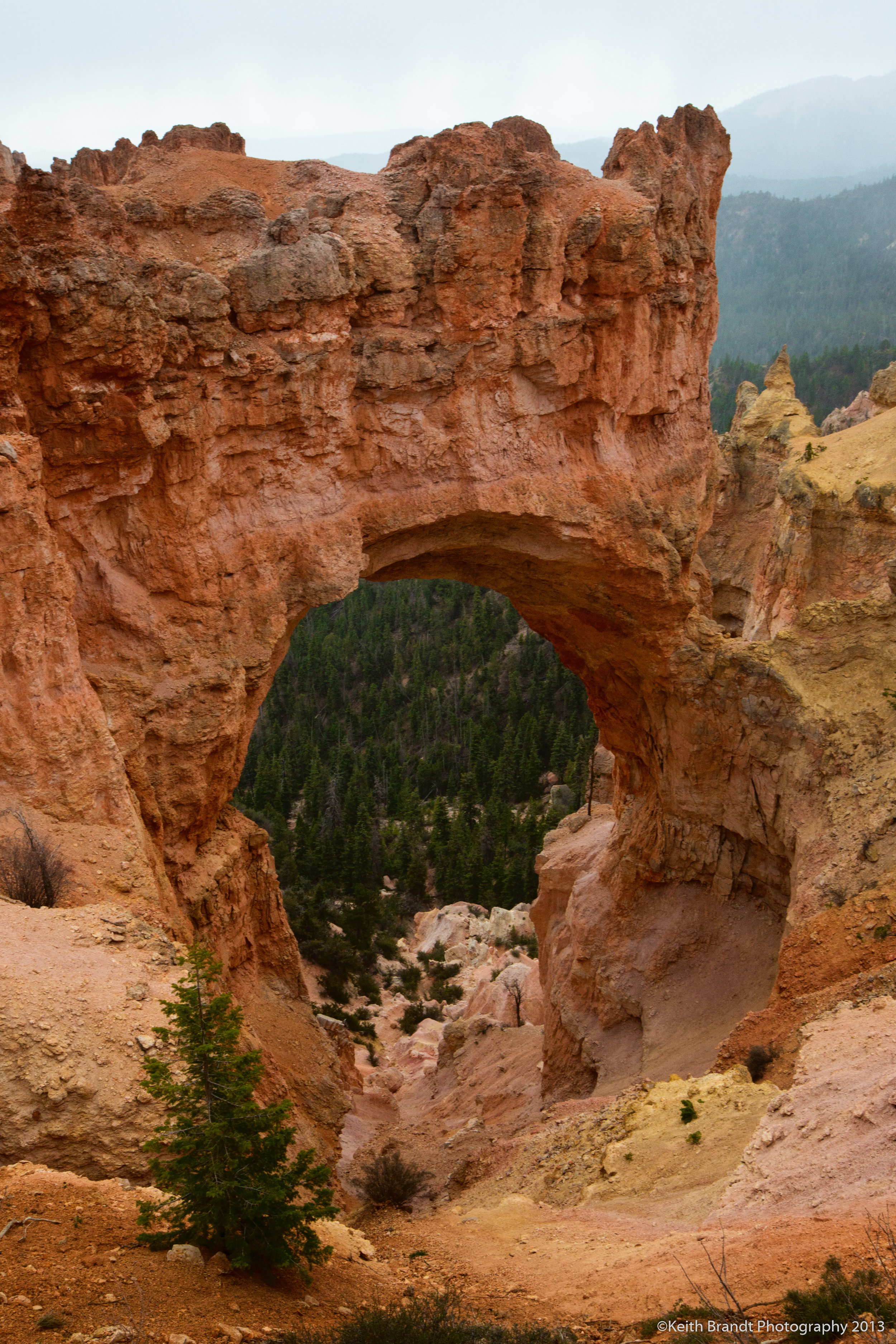 Bryce Hole in the Wall.jpg