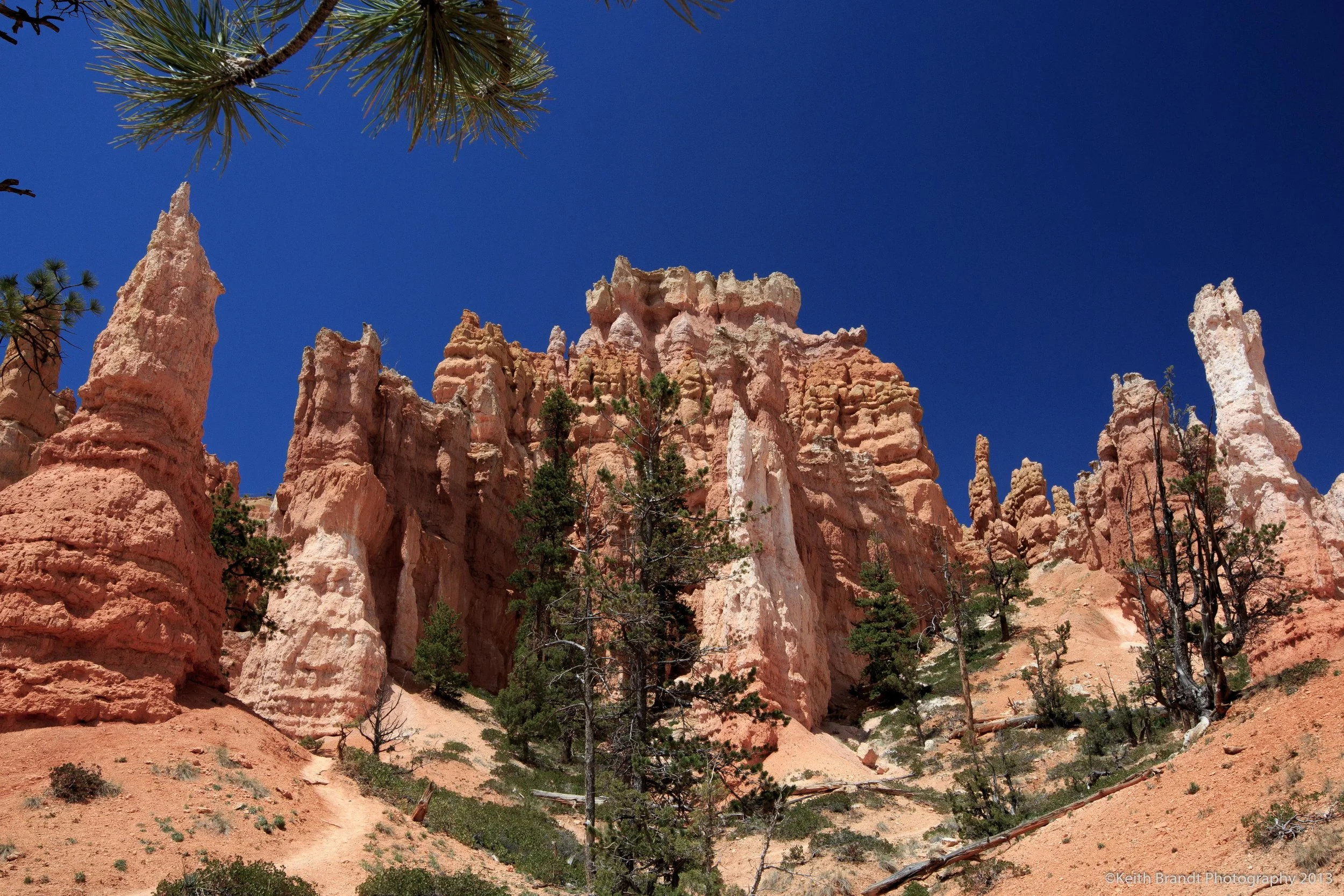West Mitten Butte-7.jpg