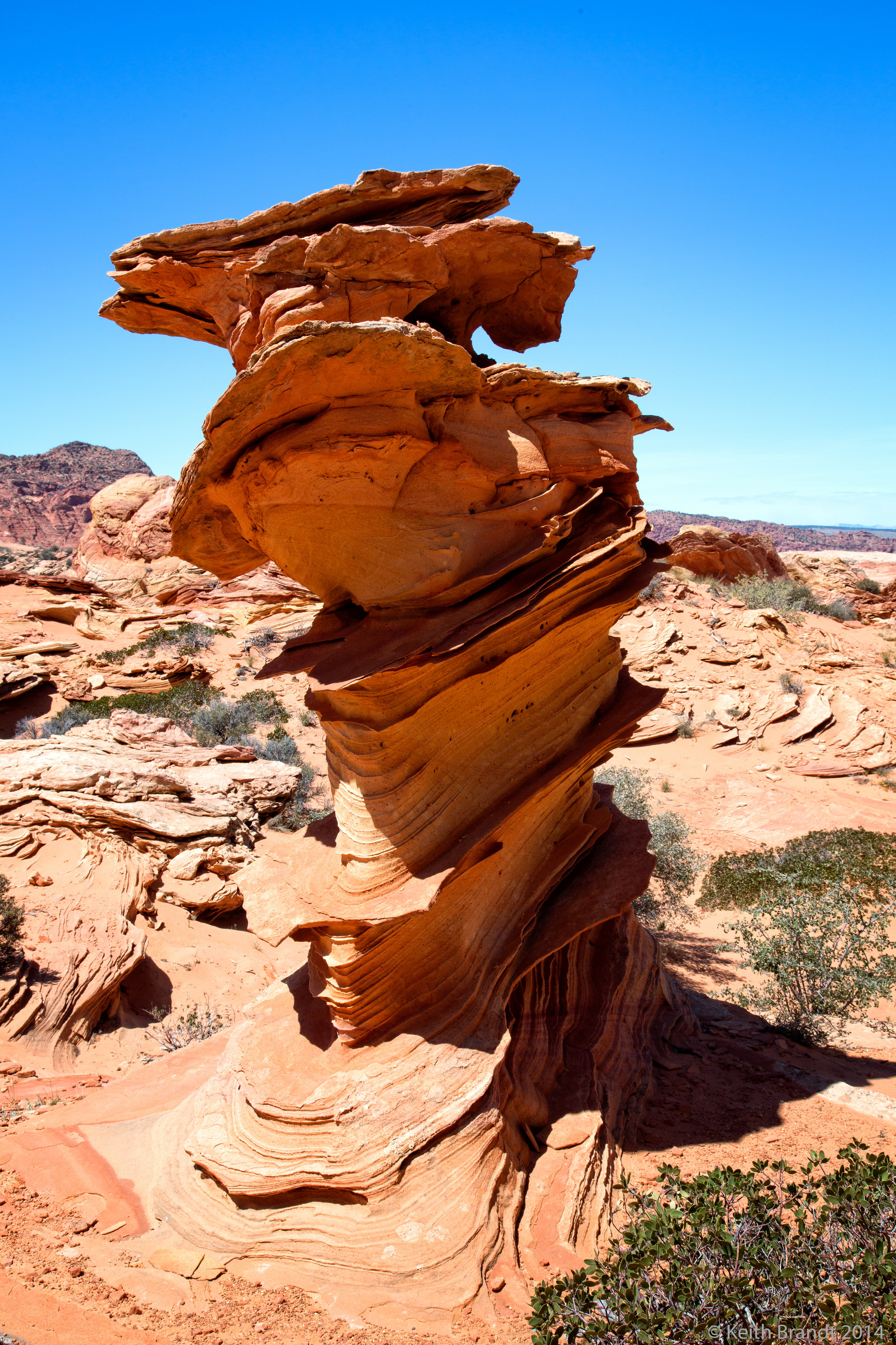 Wave Trip 5 Star Photos-25.JPG