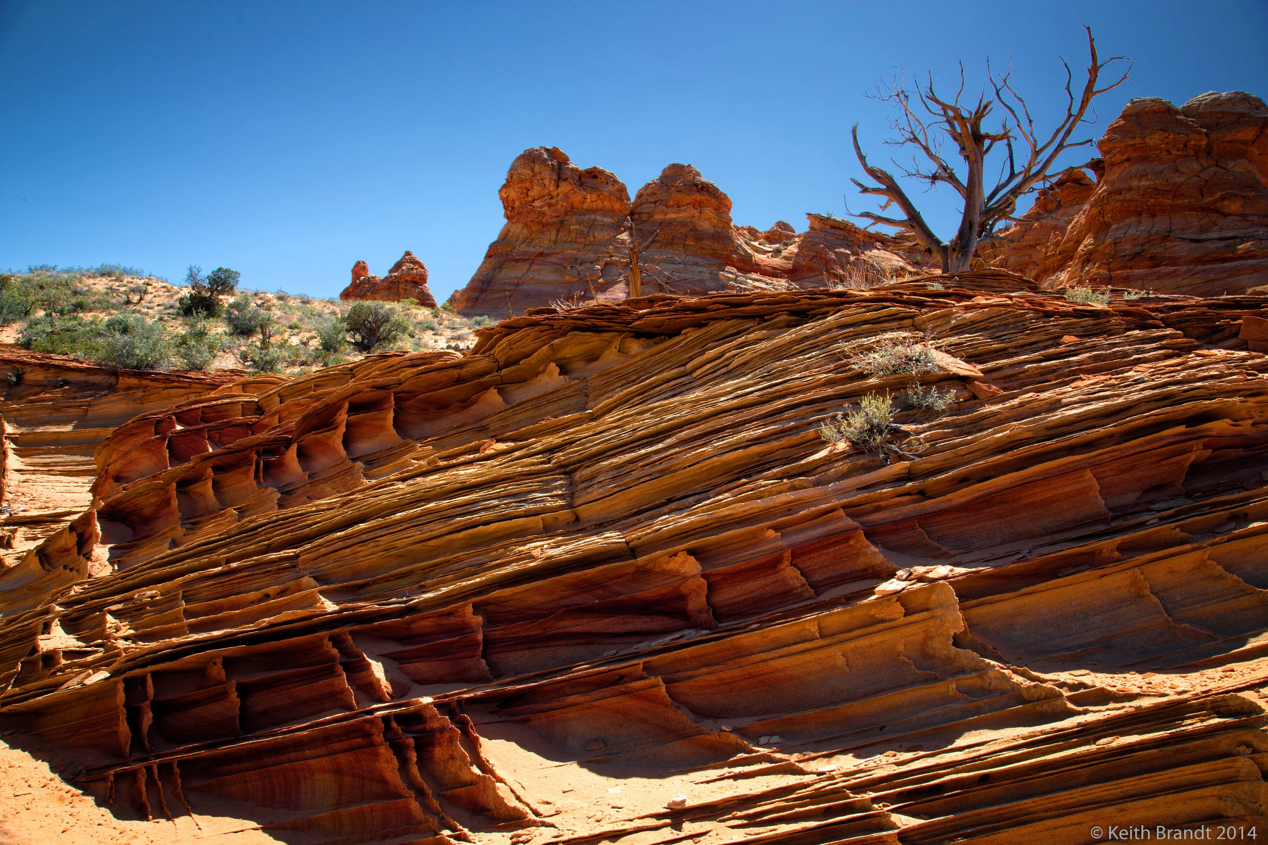 Wave Trip 5 Star Photos-30.JPG