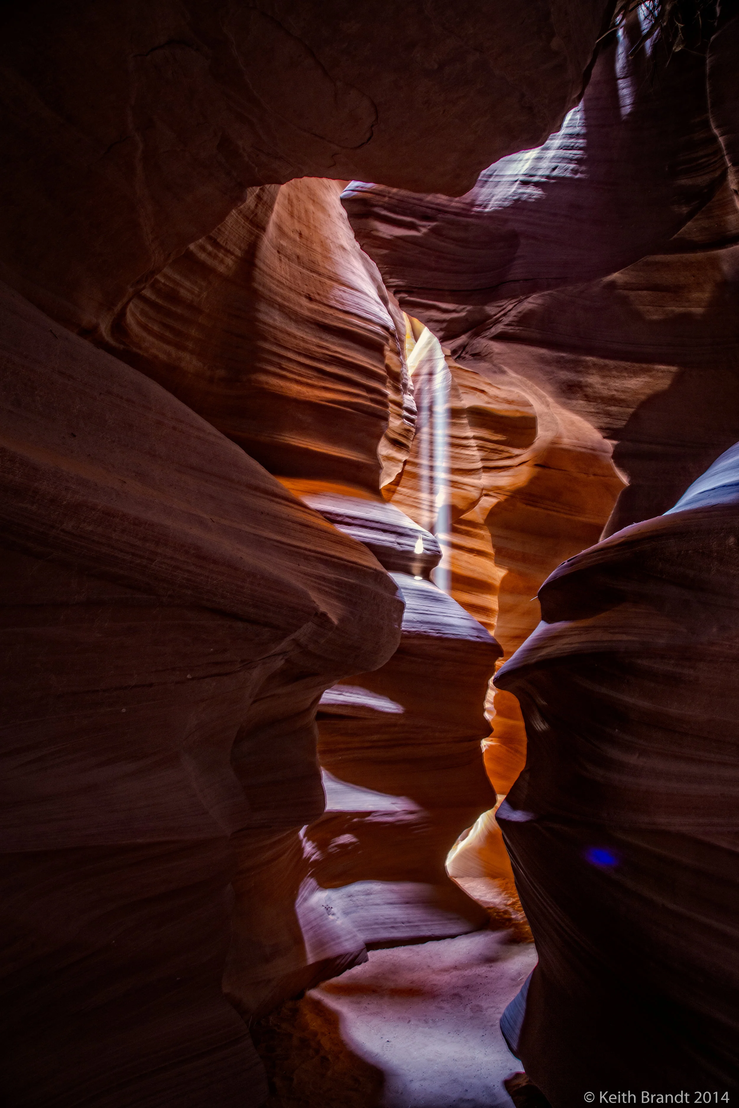 Wave Trip 5 Star Photos-36.JPG