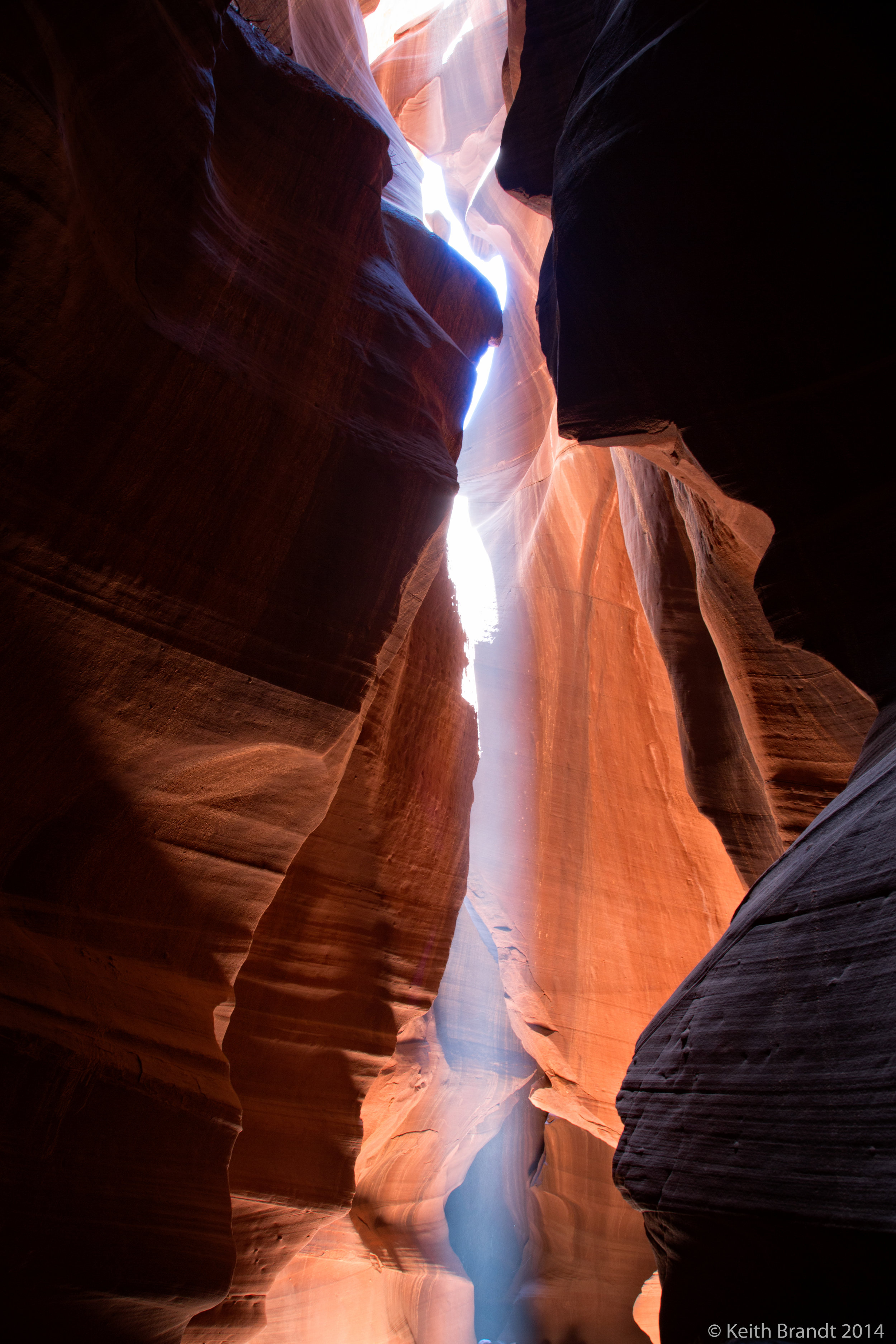 Wave Trip 5 Star Photos-32.JPG