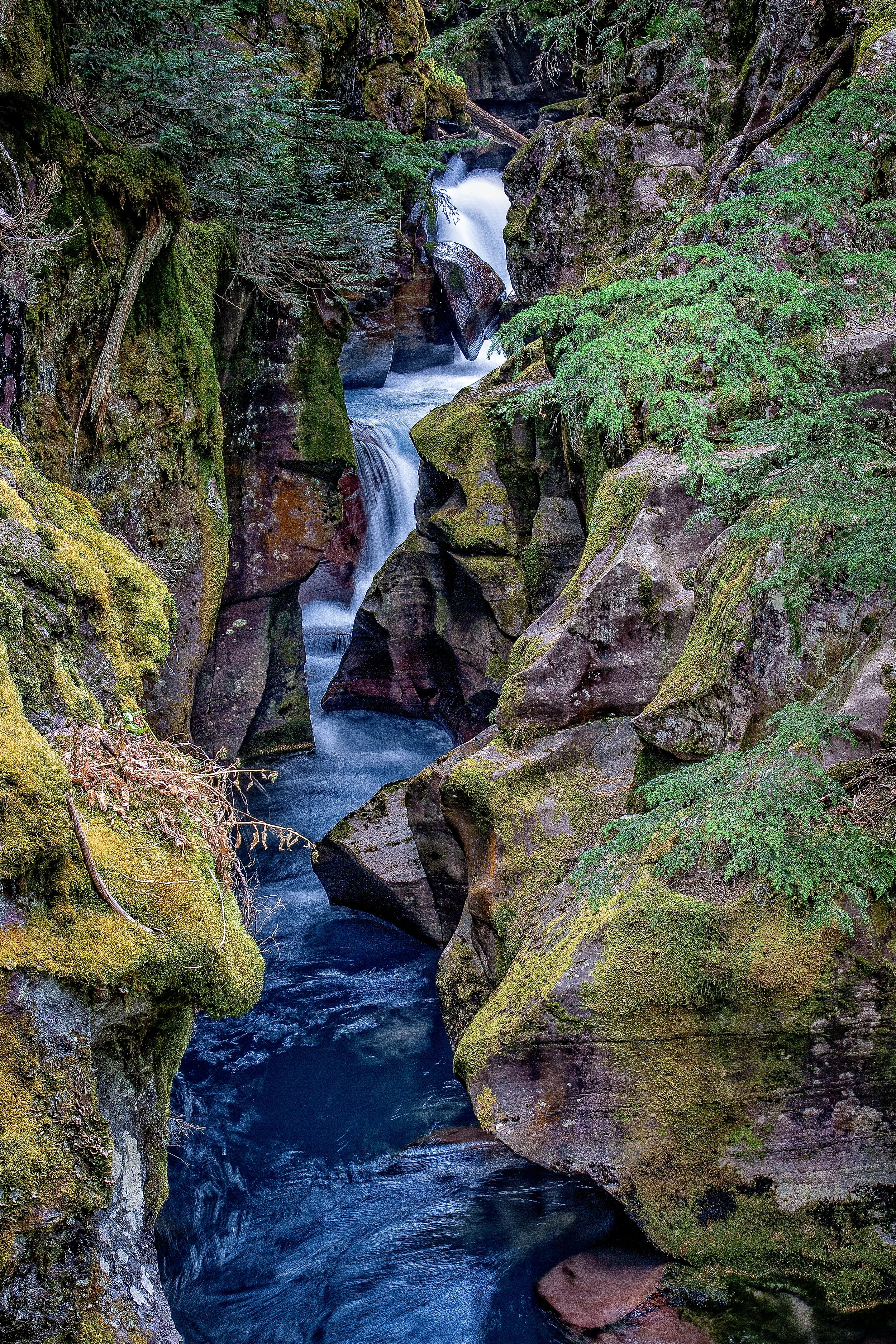 Avalanche Creek Revised Feb 6 2018 (1 of 1).JPG