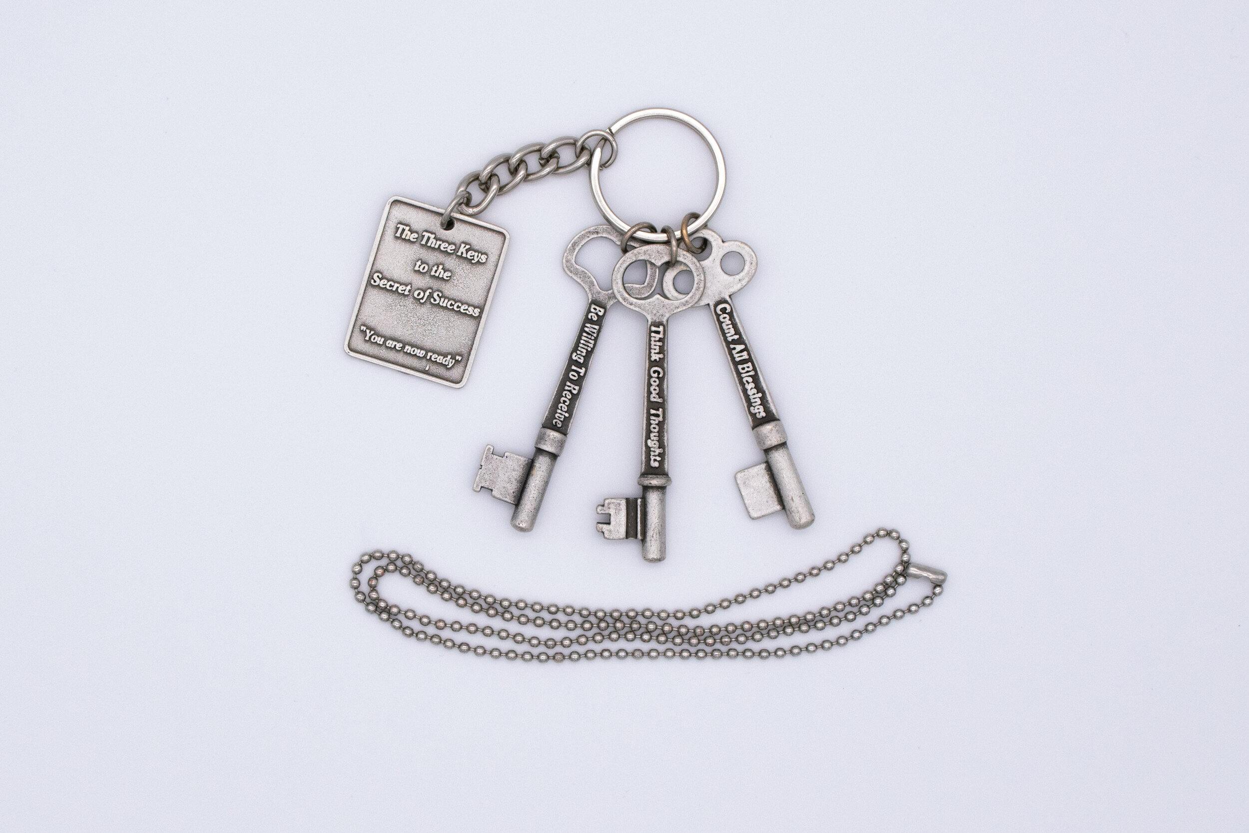 Ant Silver Key Set With Chain.jpg