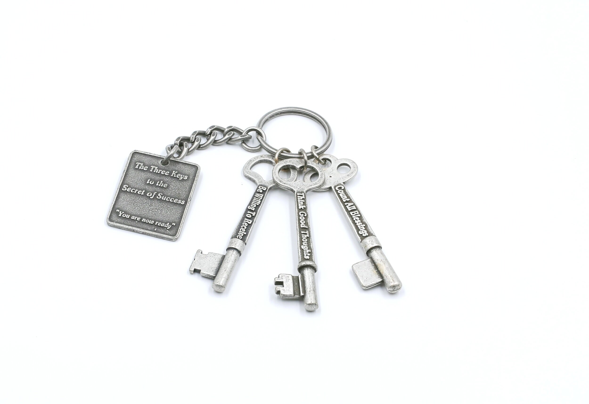 Ant+Silver+Key+_Set.jpg
