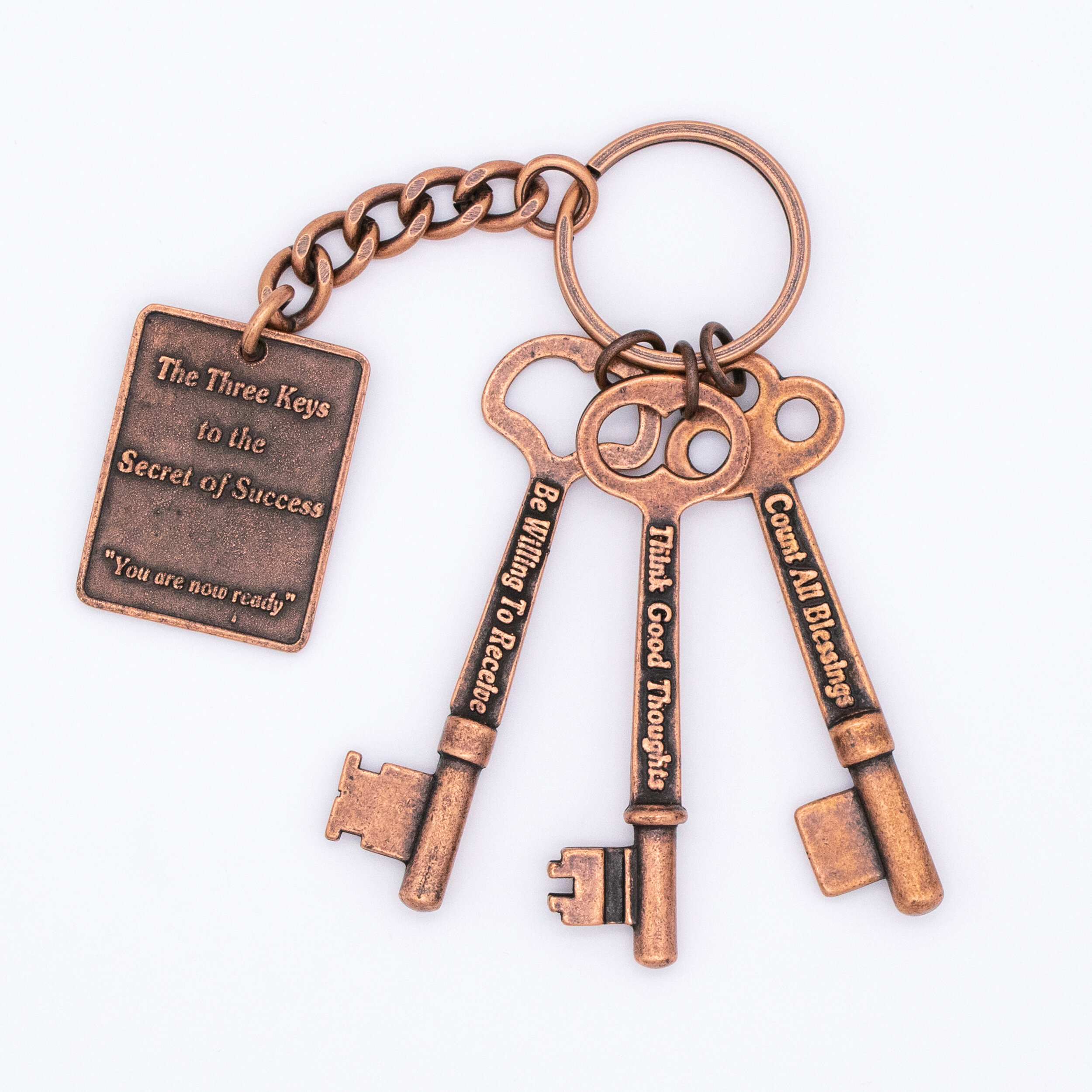Ant Copper Set_Store Photo2.jpg