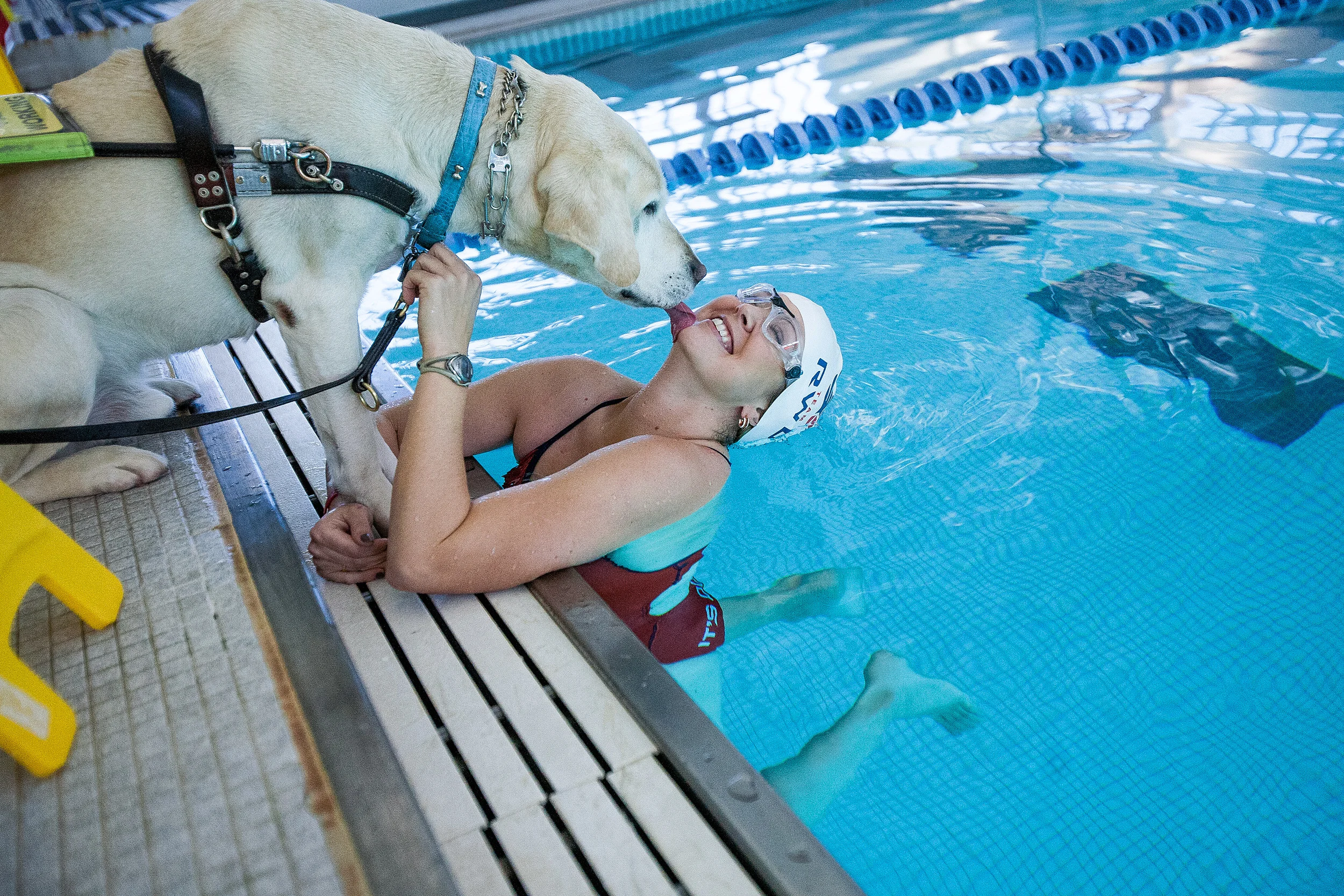  Amy Dixon, a visually impaired sommelier and triathlete, gets kisses from her guide dog Elvis at the YMCA at Greenwich in Greenwich, Connecticut, Thursday, Dec. 12, 2013. Dixon is training for several championship competitions next year, including t