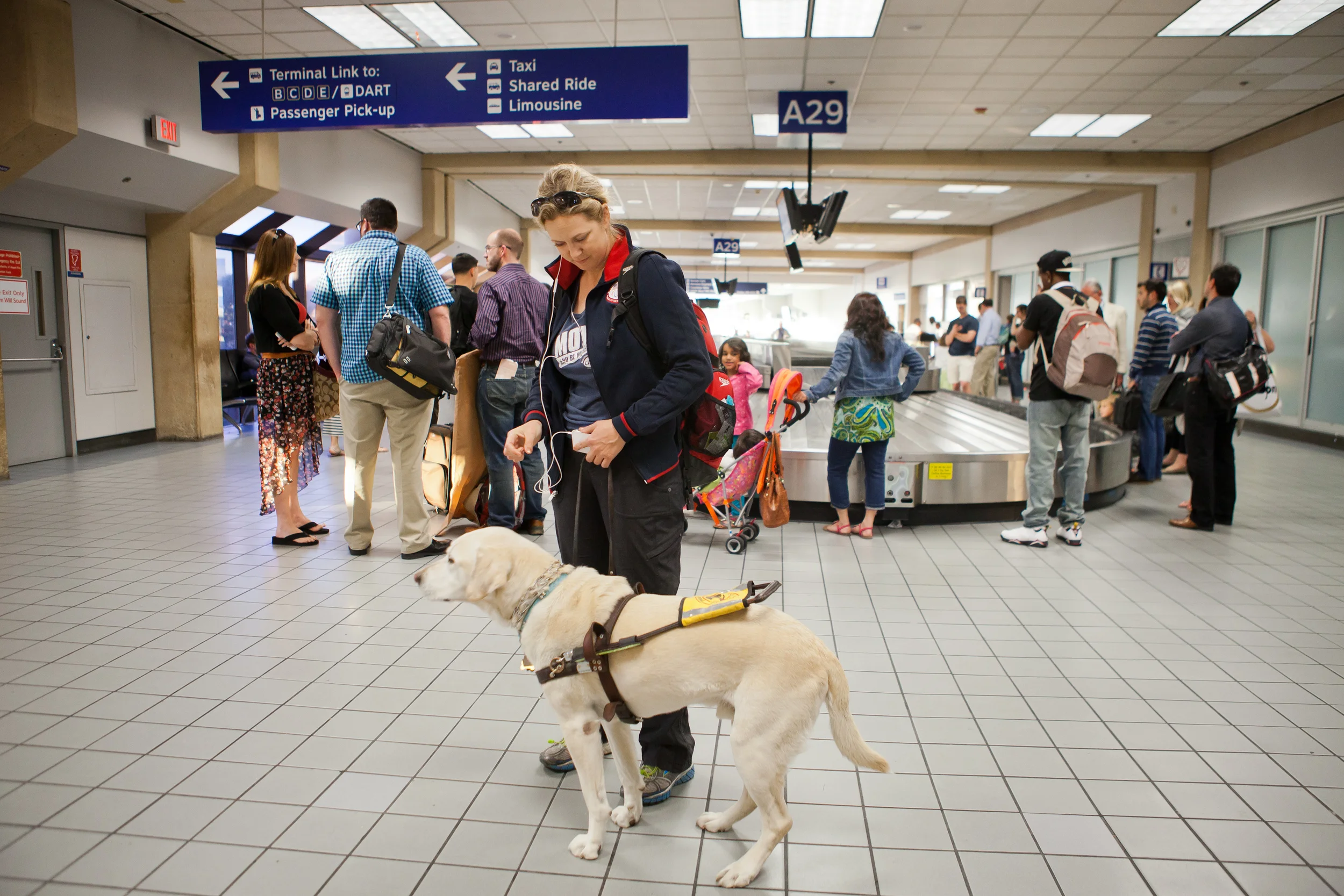  Amy Dixon, a visually impaired sommelier and triathlete, arrives at Dallas/Fort Worth International Airport with her guide dog Elvis before the 2014 Dallas Panamerican Triathlon Confederation (PATCO) Triathlon Pan American Championships on May 28, 2