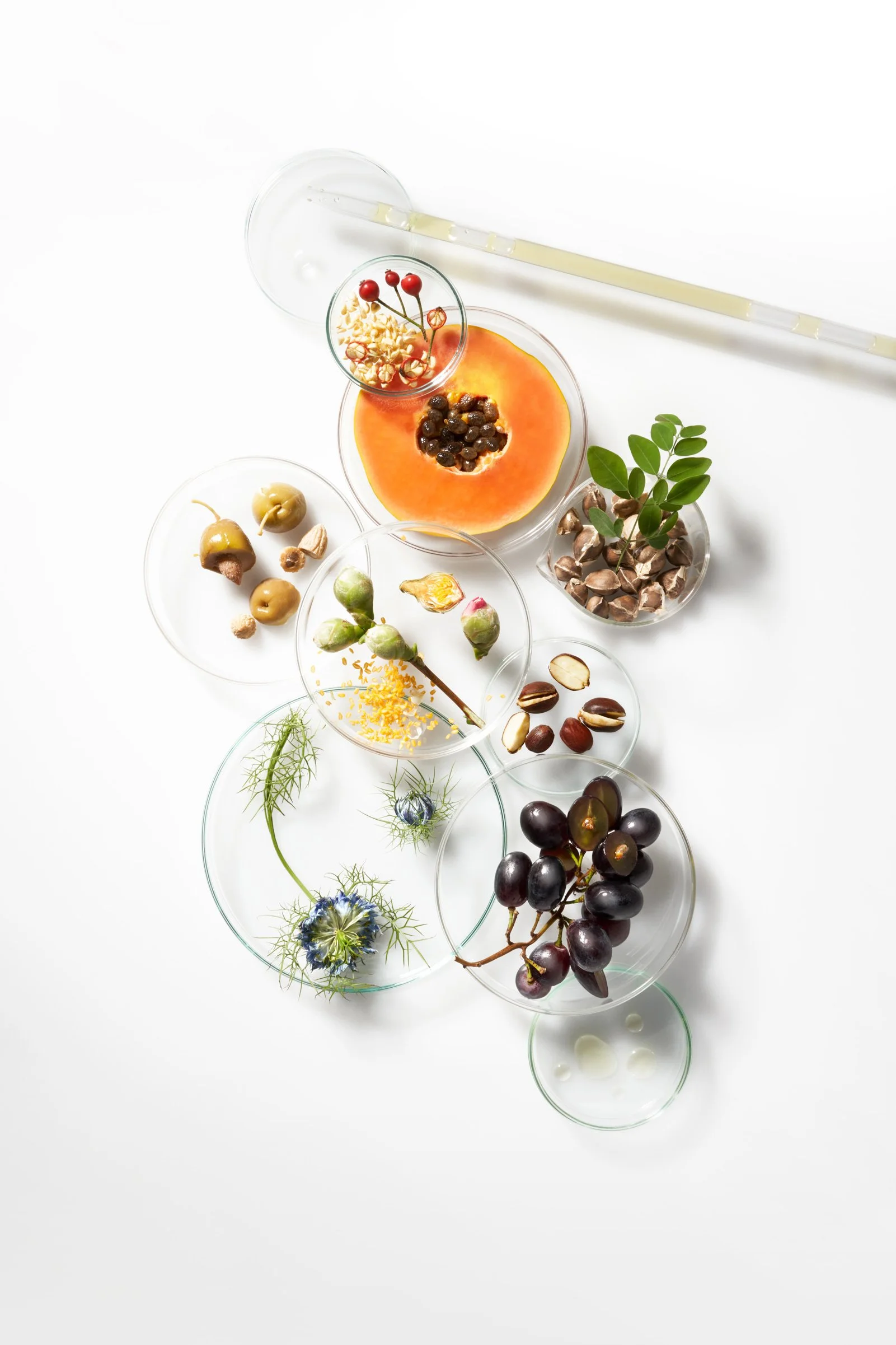 The Elemental Cleansing Balm + Exfoliating Refiner Launch