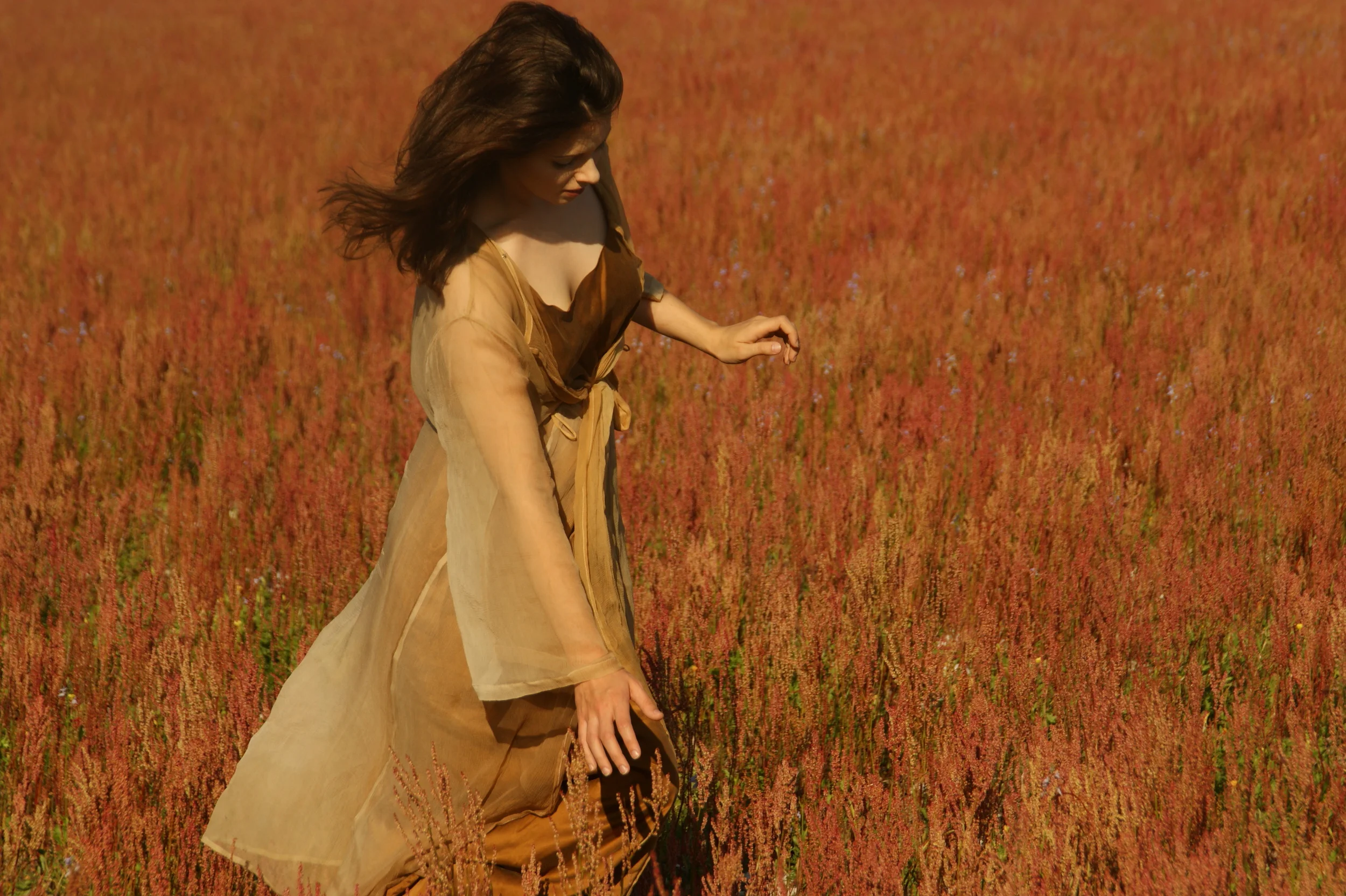 maiden winged vistory 218.JPG