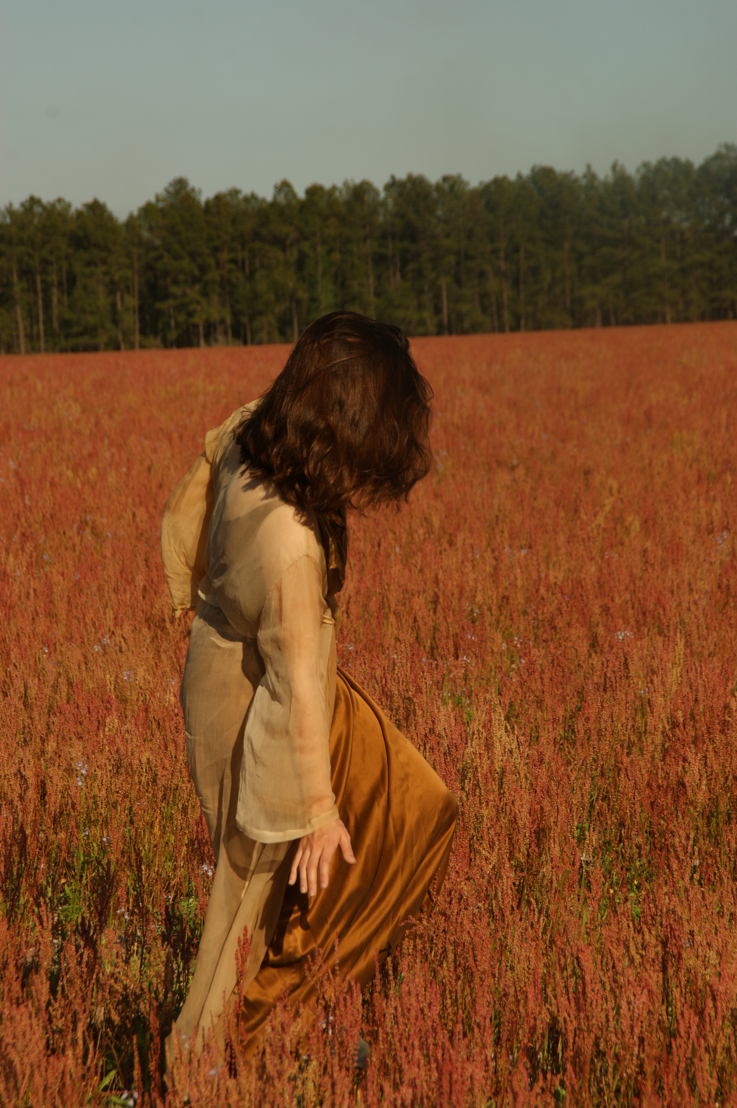 maiden winged vistory 221.JPG