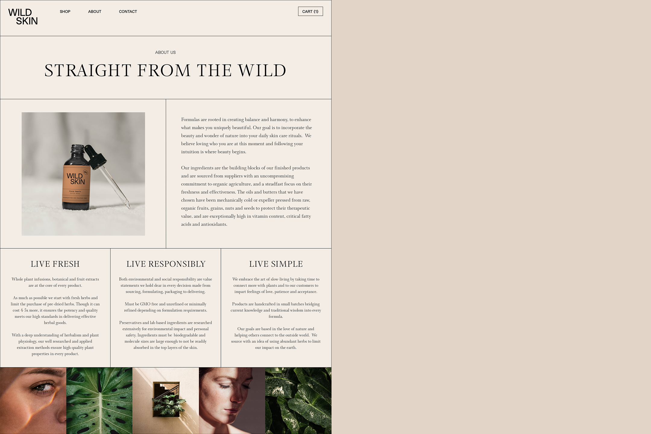 WILD SKIN_24.png