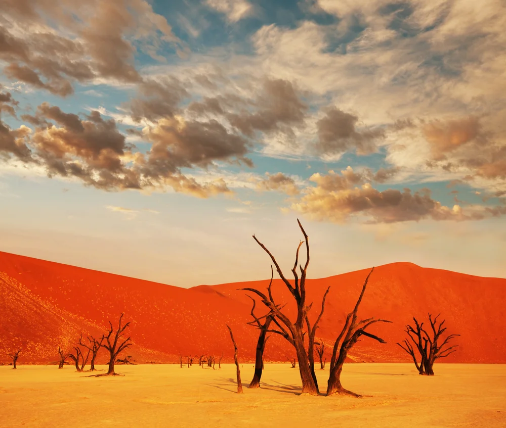 Namibia.jpg