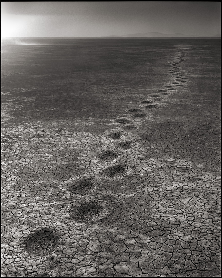  © Nick Brandt, Elephant Footprints, Amboseli, 2012. Courtesy of the Artist and Hasted Kraeutler, NYC. 