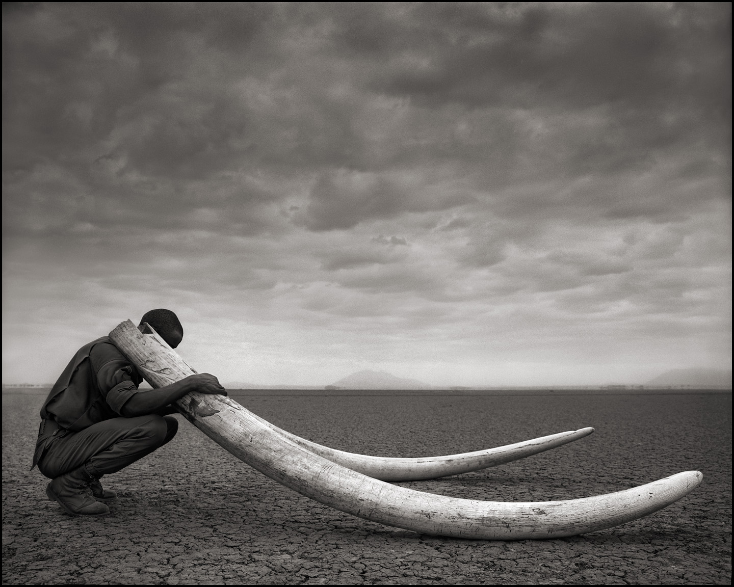  © Nick Brandt, Ranger with Tusks of Killed Elephant, Amboseli, 2011. Courtesy of the Artist and Hasted Kraeutler, NYC.    