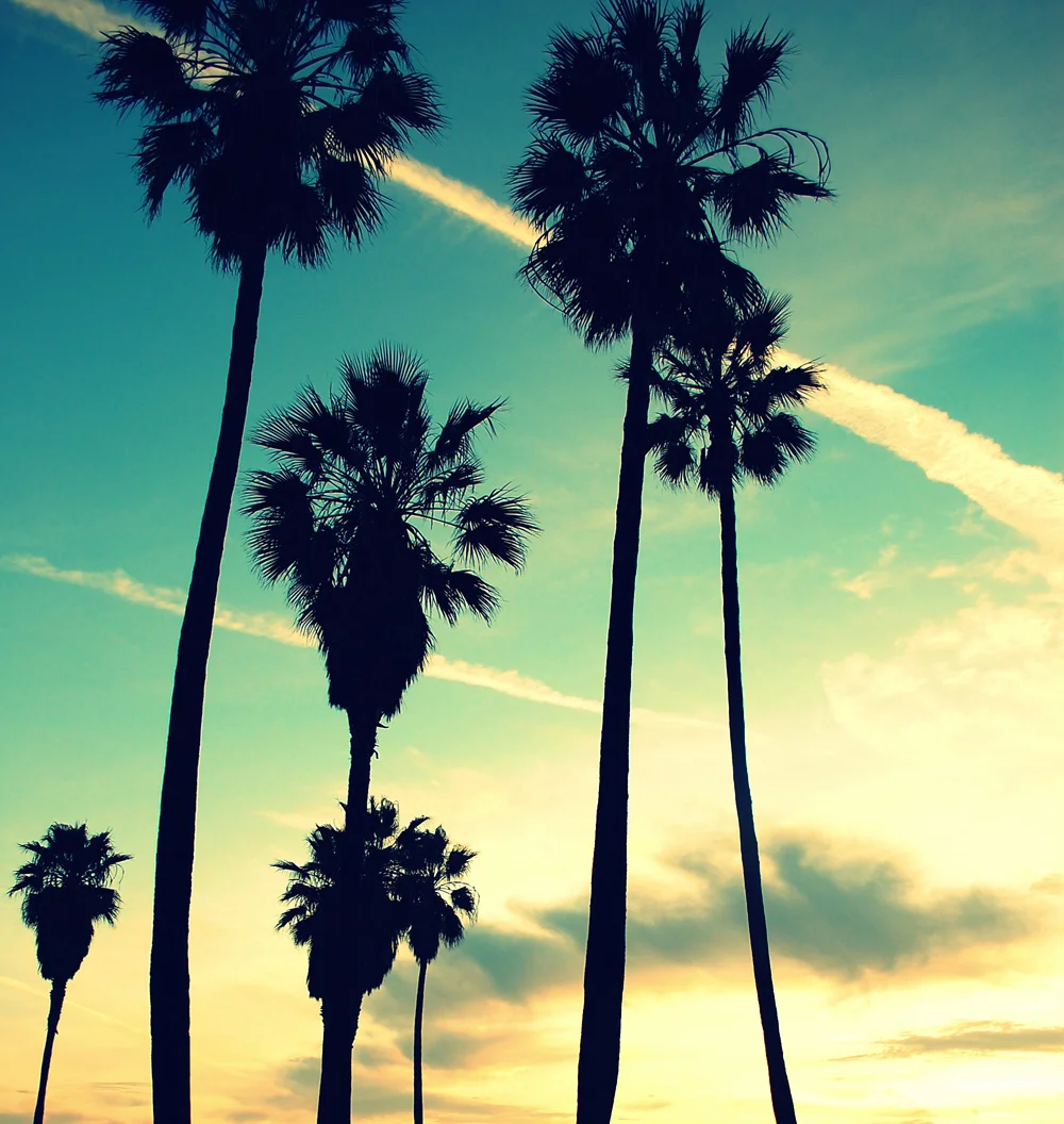 Cali.jpg