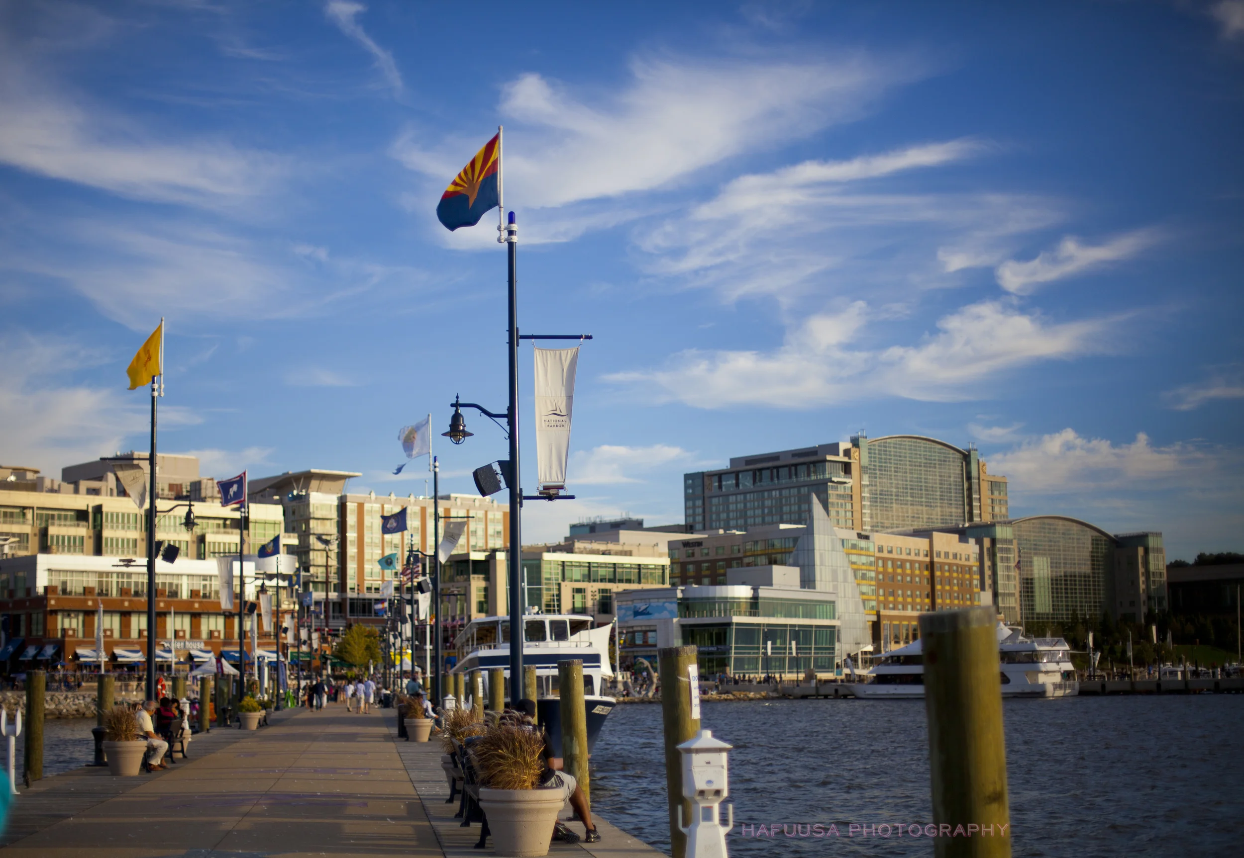 Back Harbor Walk.jpg