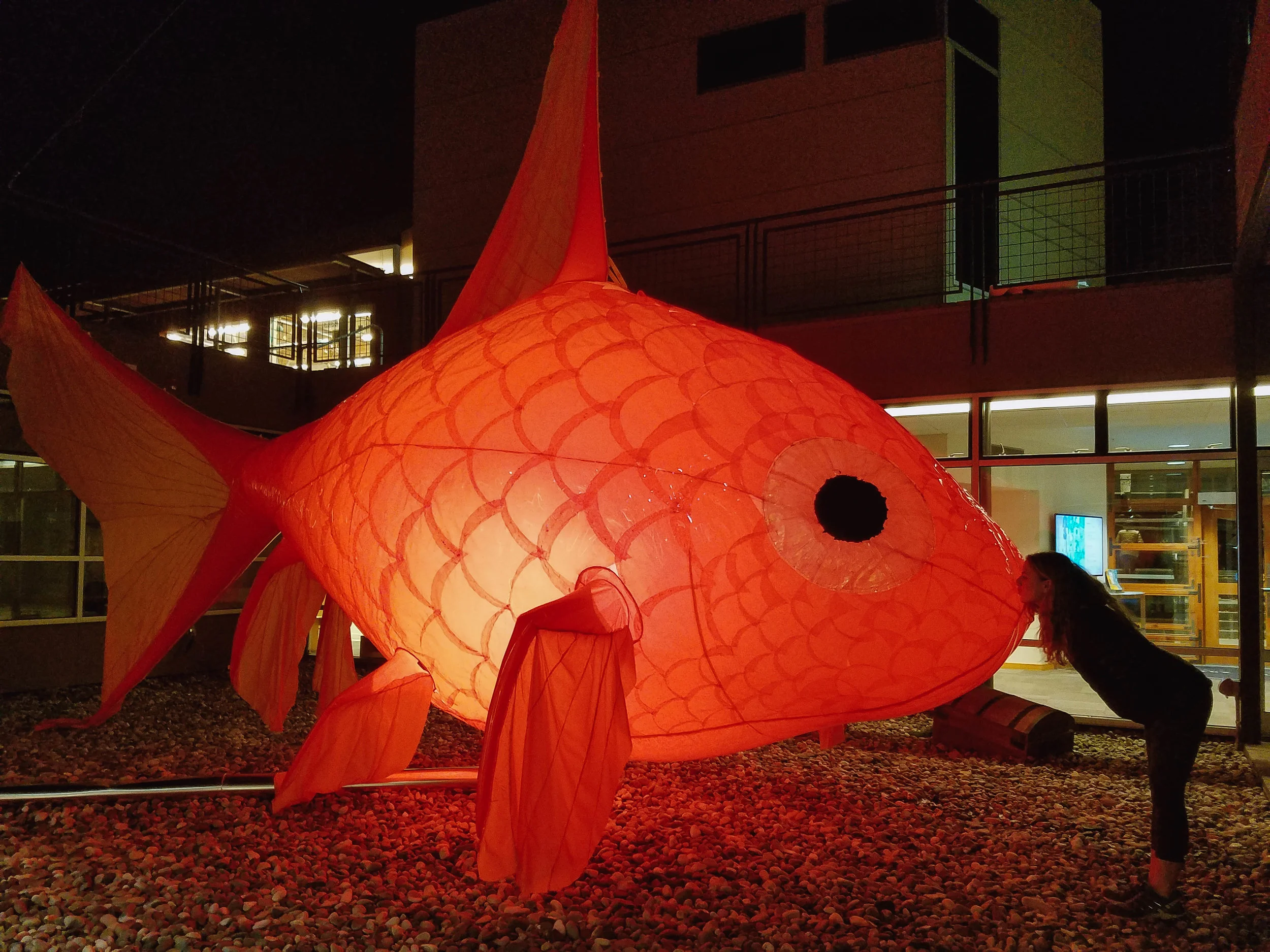 20171012_203626-7.jpg
