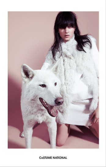 Screen Shot 2015-03-17 at 10.02.42.png