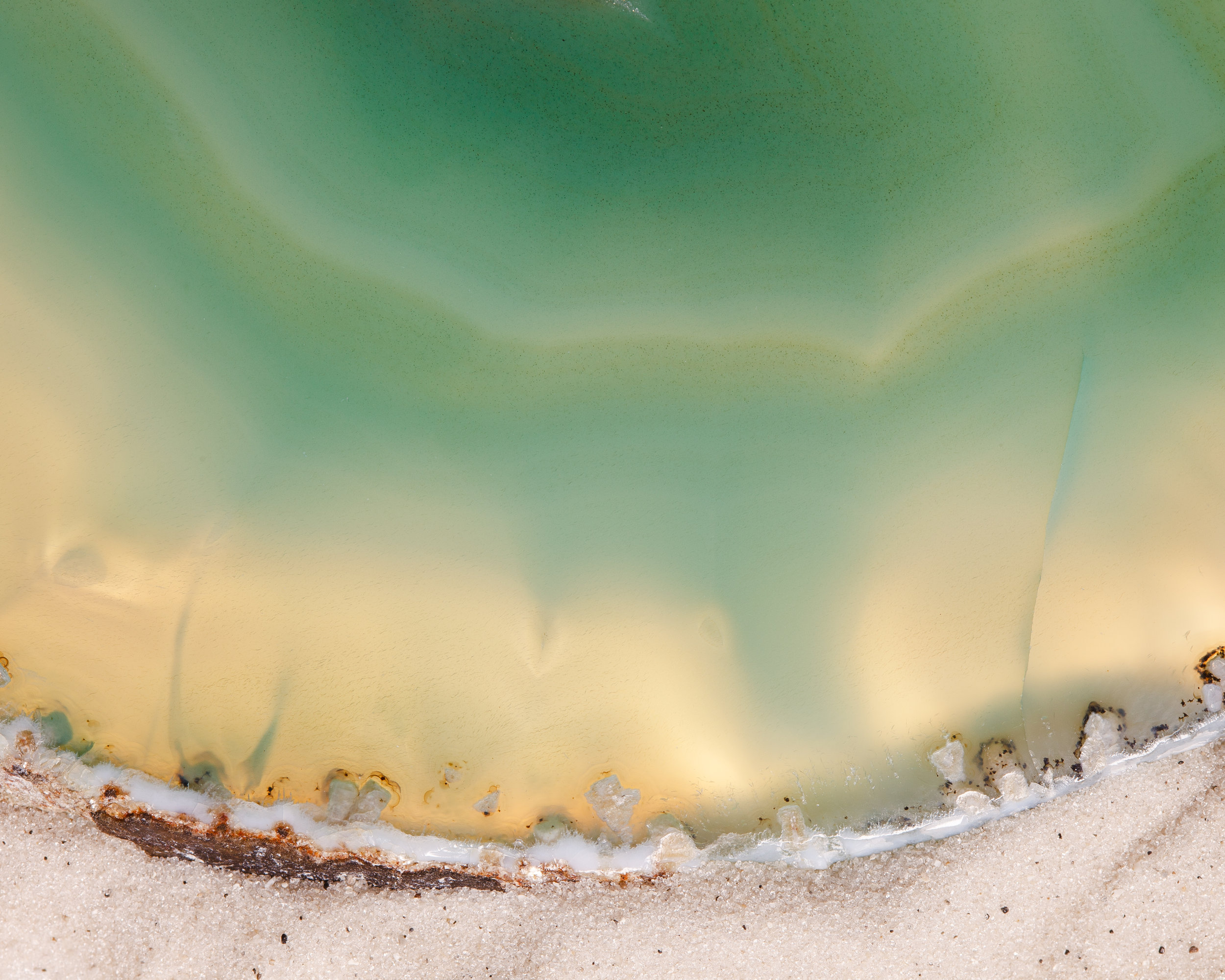 Transparent Green_22016 copy.jpg