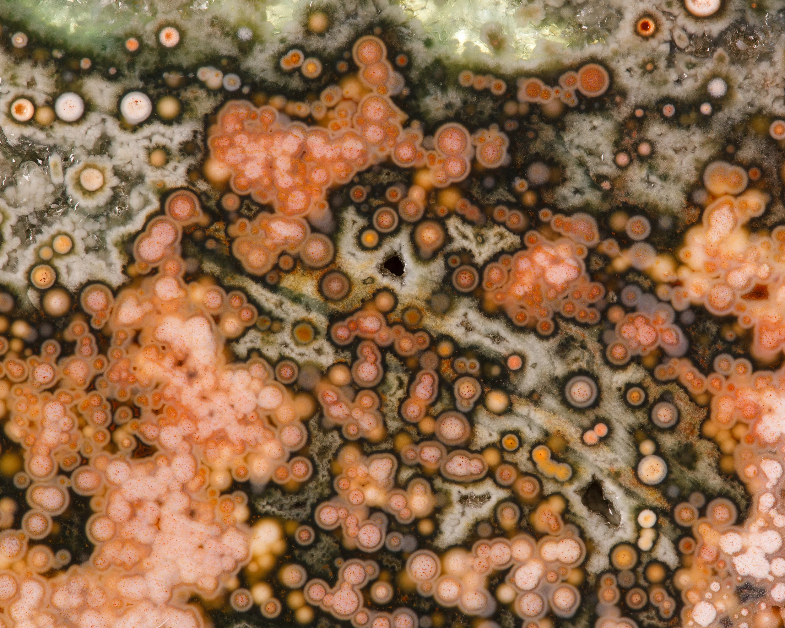 Ocean_Jasper_Green_2j.jpg
