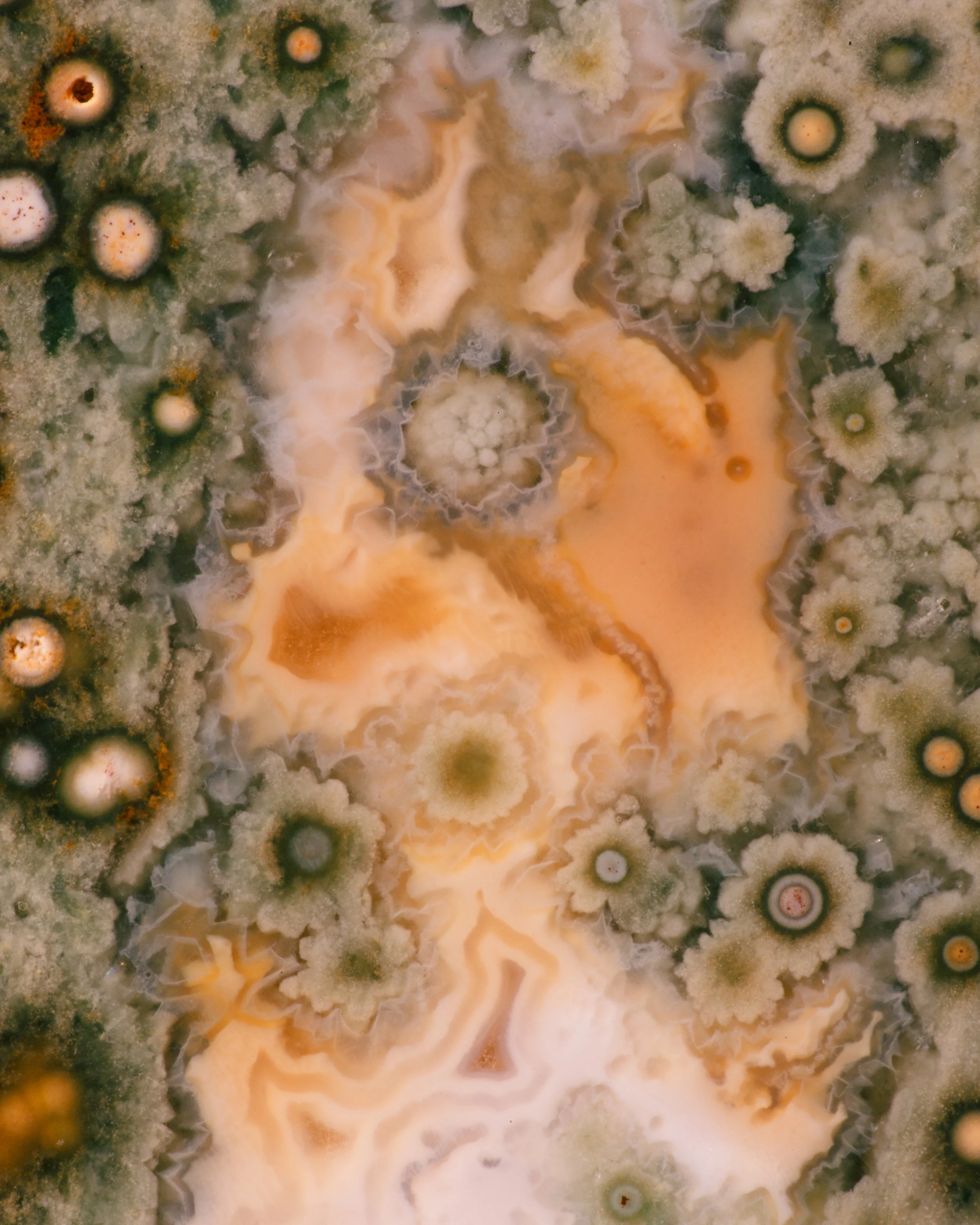 Ocean_Jasper_Green_4j.jpg
