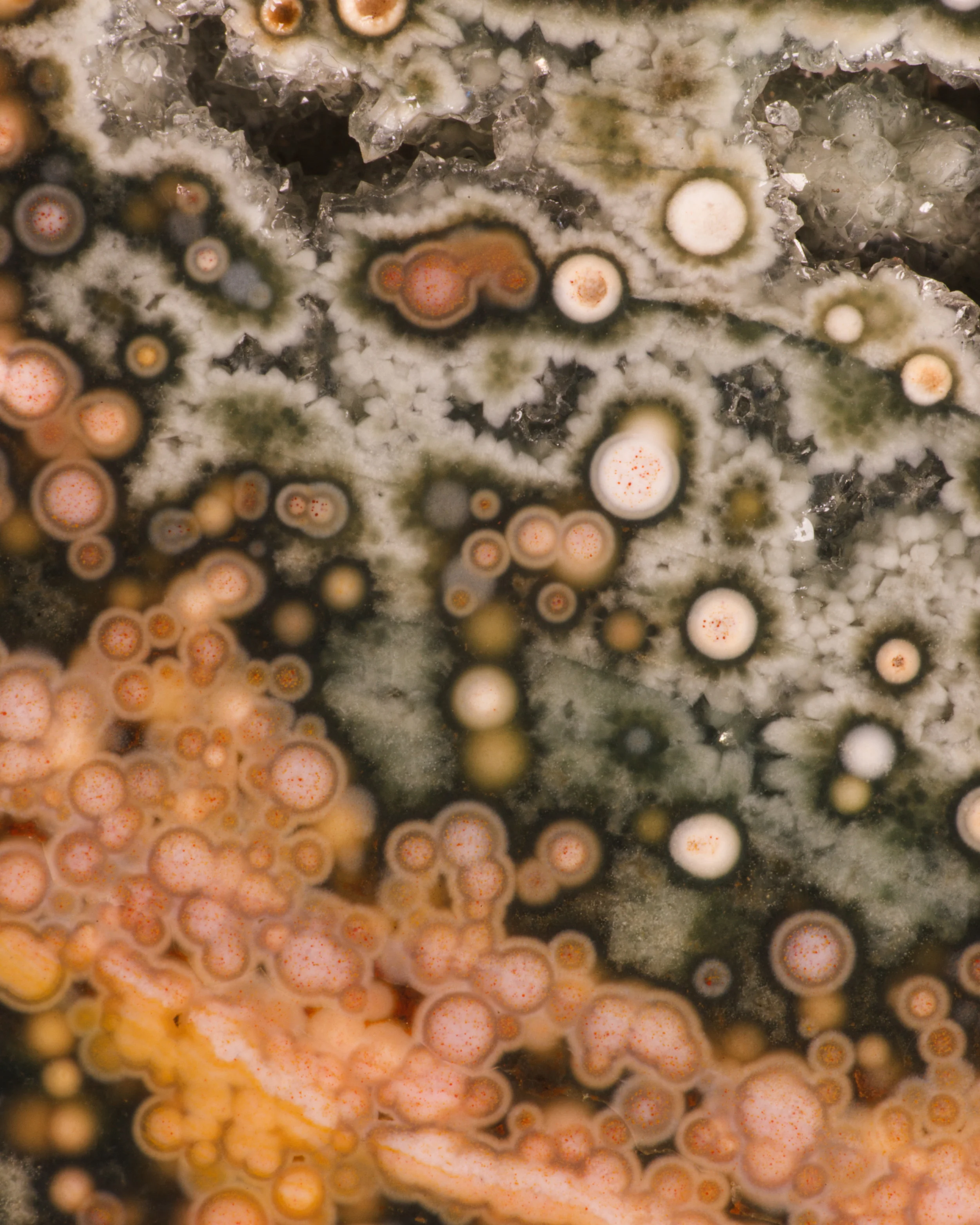 Ocean_Jasper_Green_6j.jpg