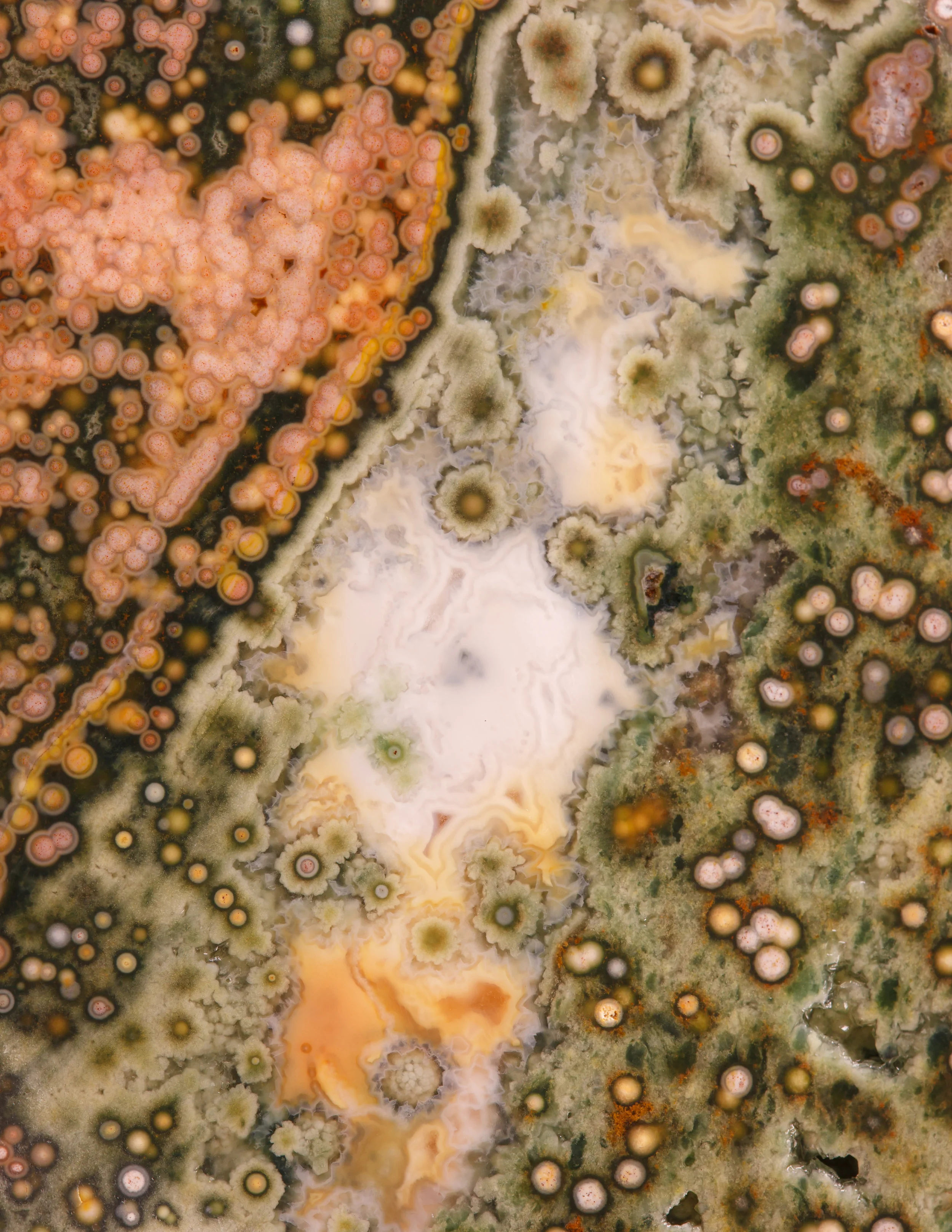 Ocean-Jasper_Green_5j.jpg