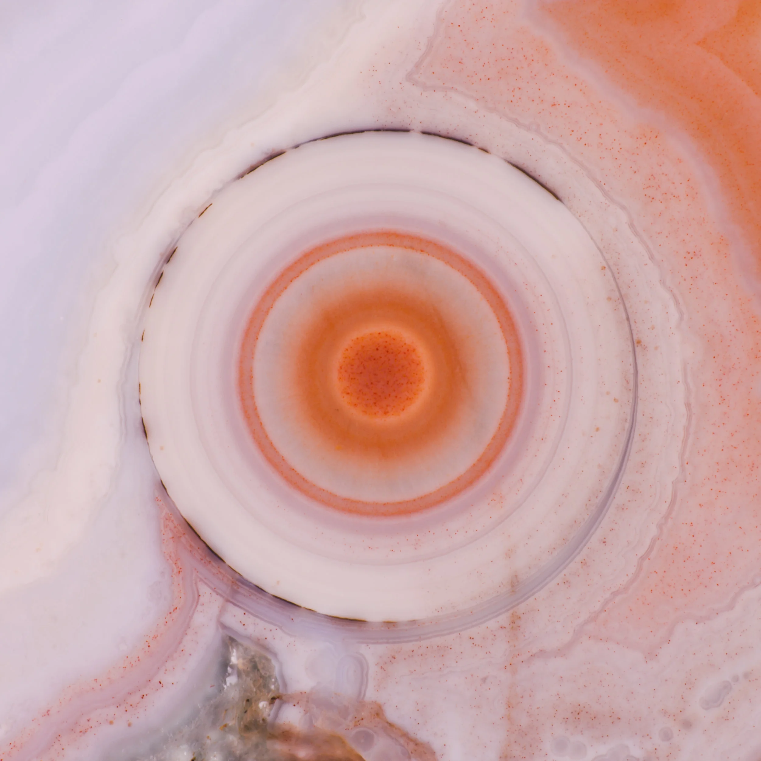 Ocea_Jasper_Orb_1j.jpg