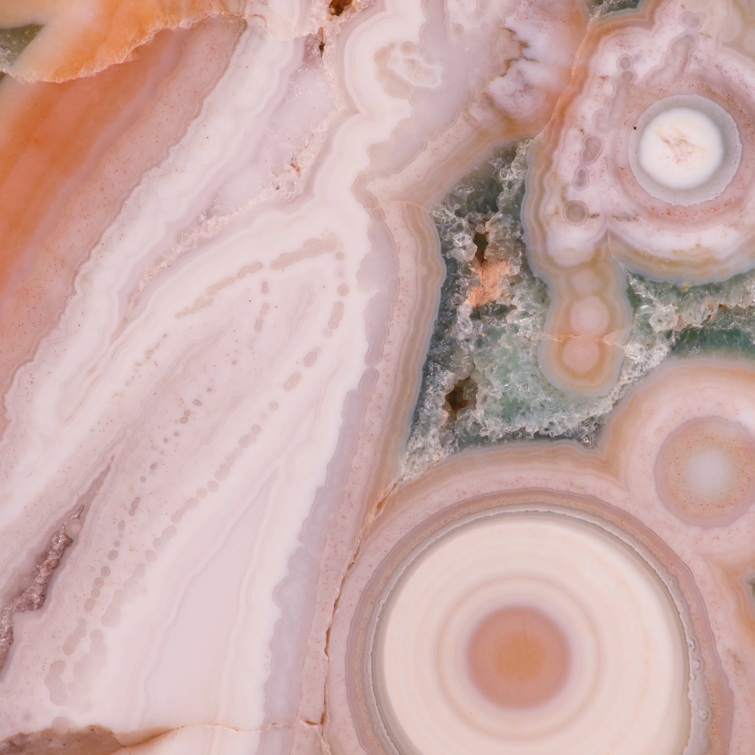 Ocea_Jasper_White_1j.jpg