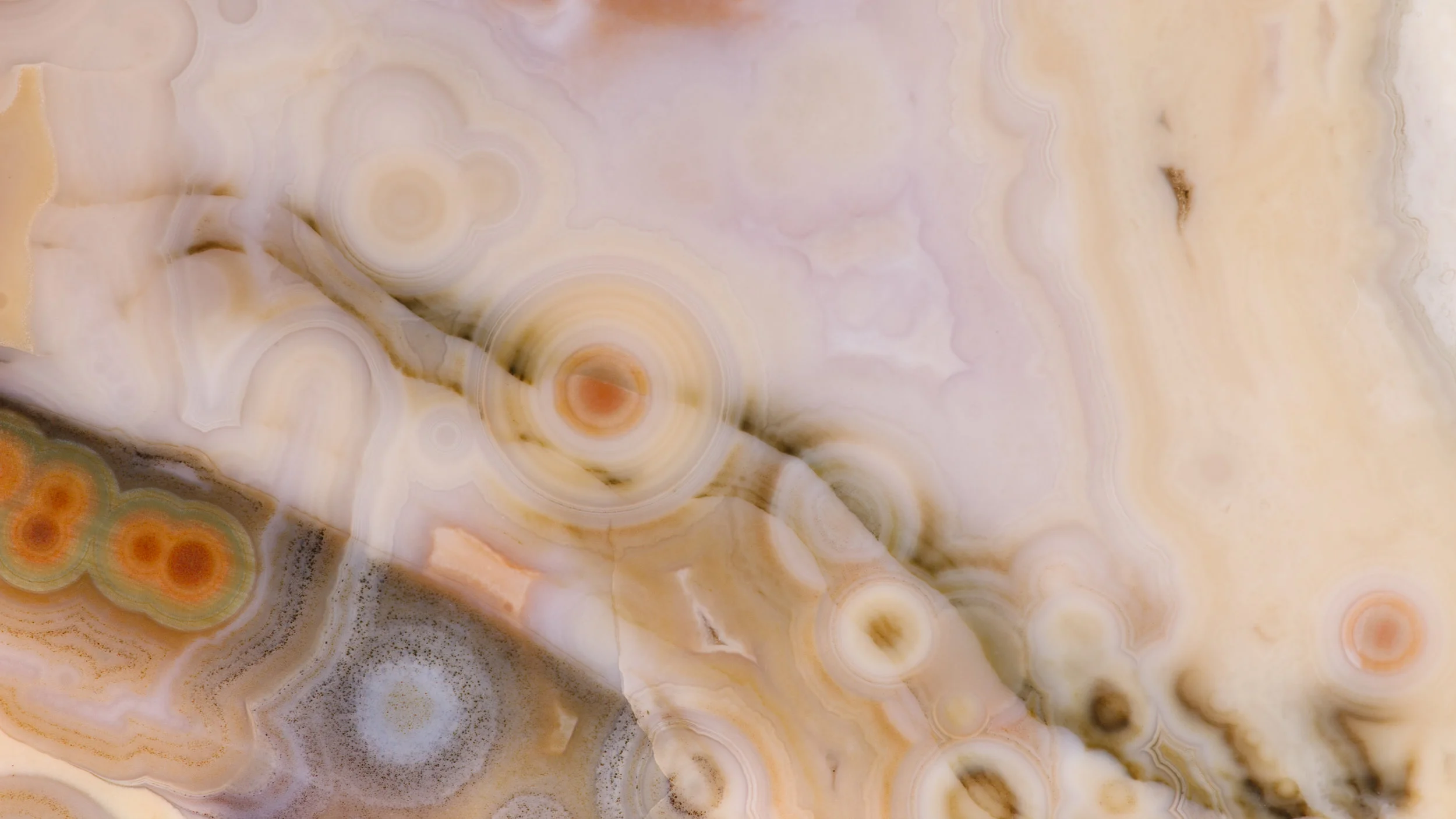 Ocean_Jasper_White_4j.jpg