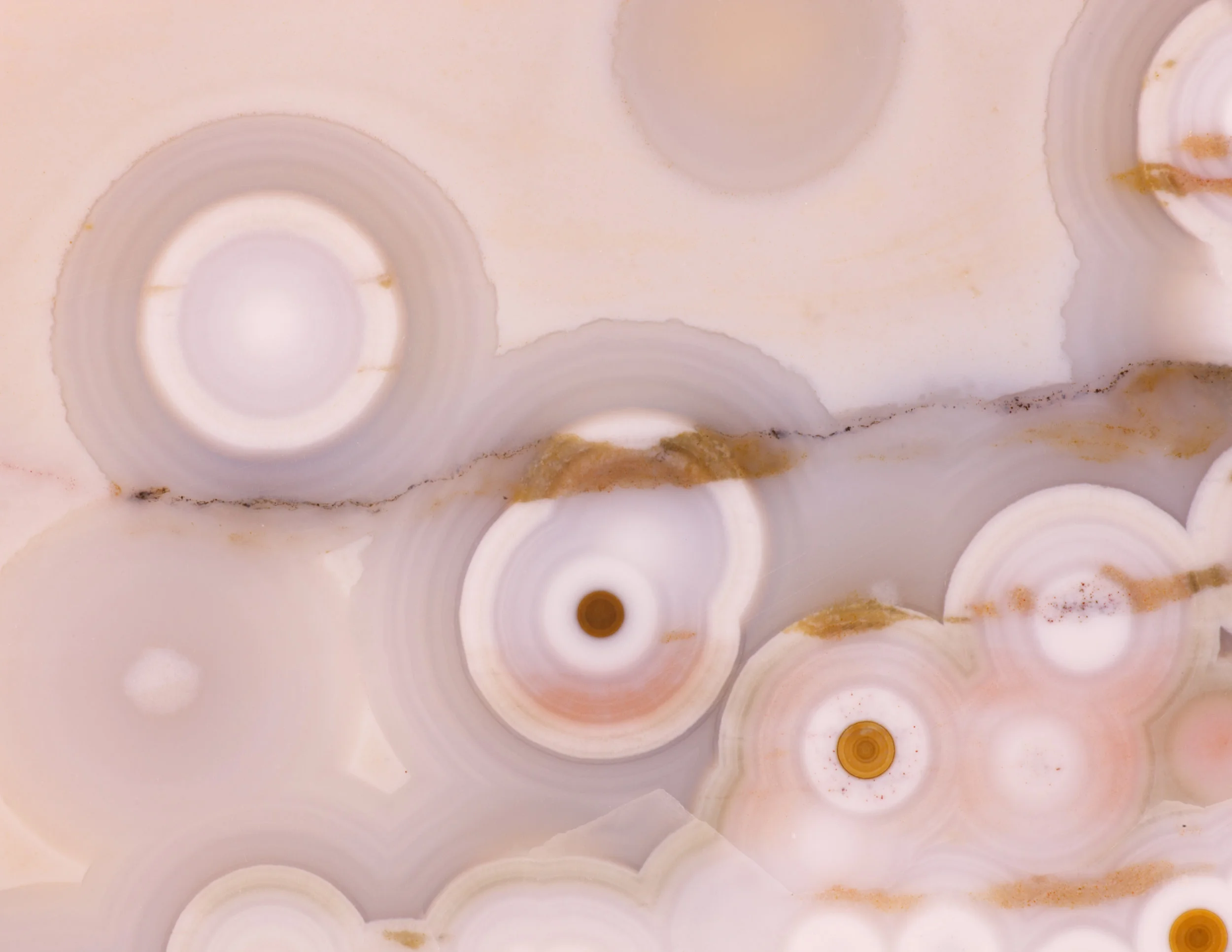 Ocean_Jasper_White_5j.jpg