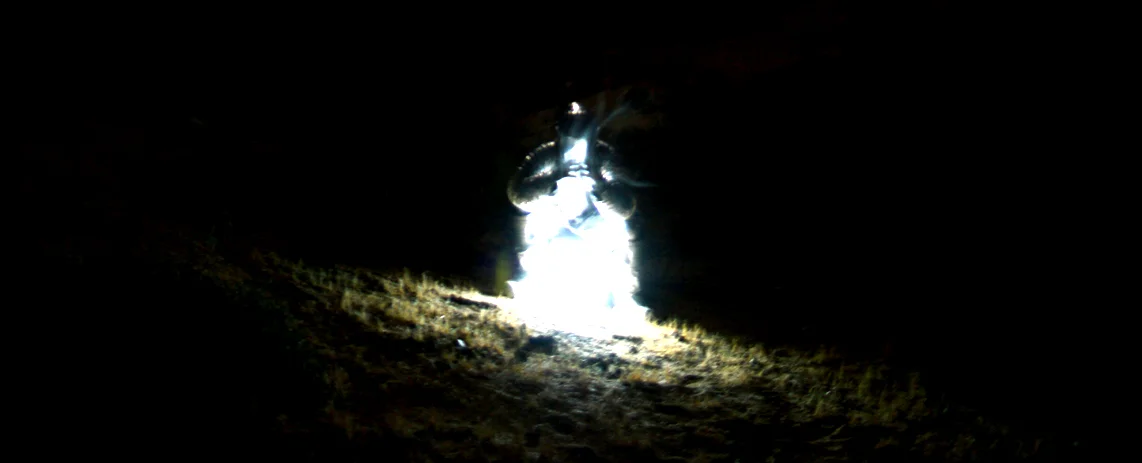 Robert.Jones.CampFire.banner.jpg