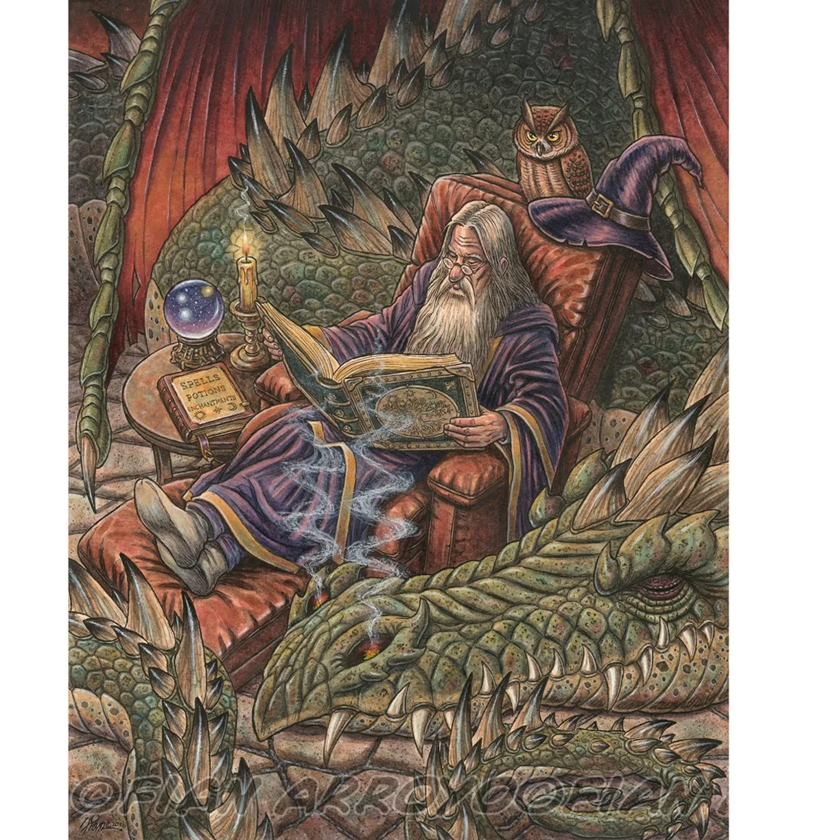 Fian Arroyo_Wizard_reading_dibond.jpg