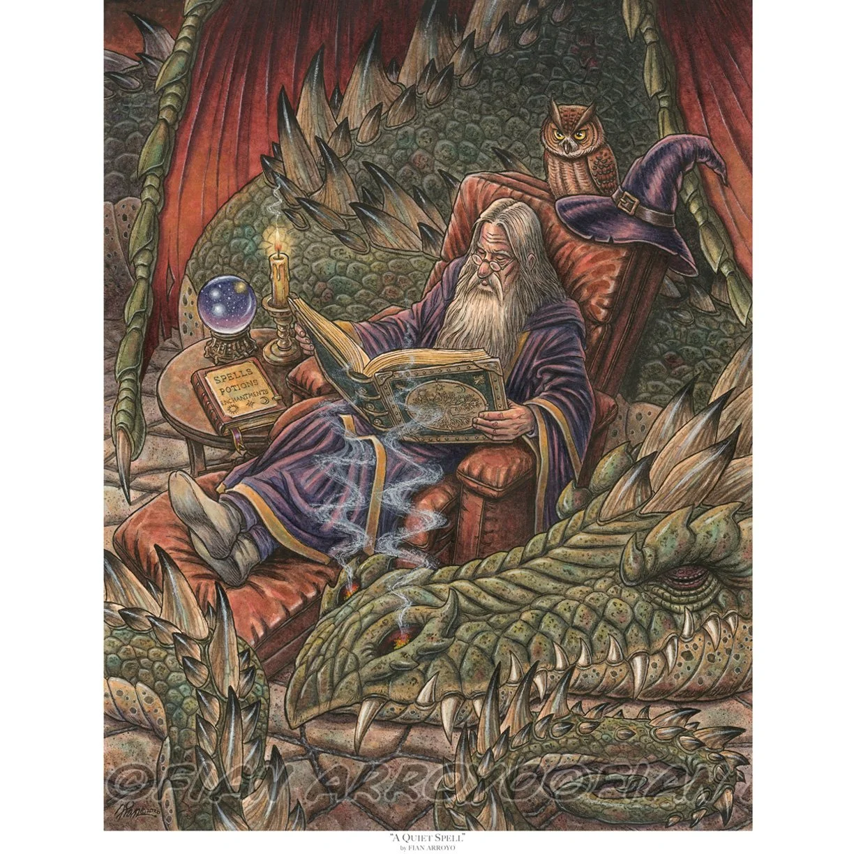 Fian Arroyo_Wizard_reading.jpg
