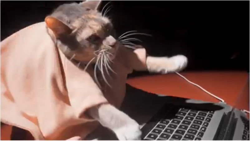 Because it Matters 2.0