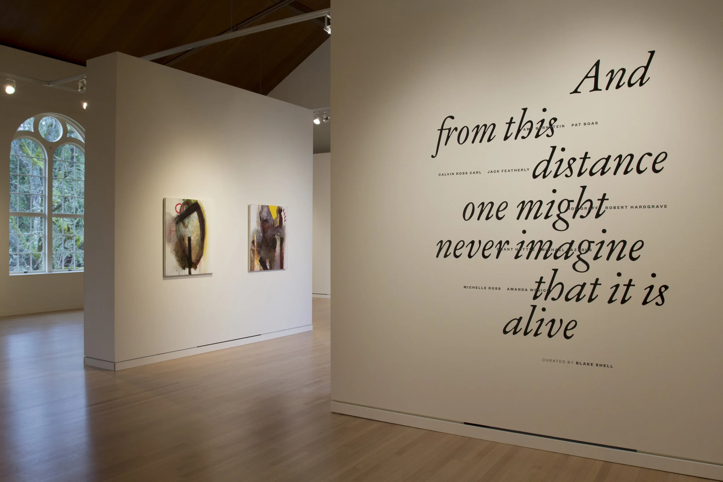 02_andfromthisdistance_rongraff.jpg
