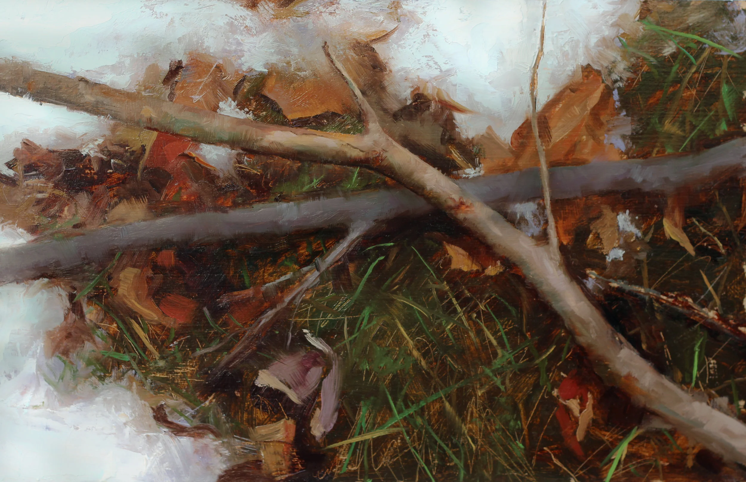 First Snow, Oil on birch panel, 18 x 12 inches