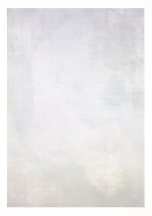  Screen print, 30in x 44in, 2012 