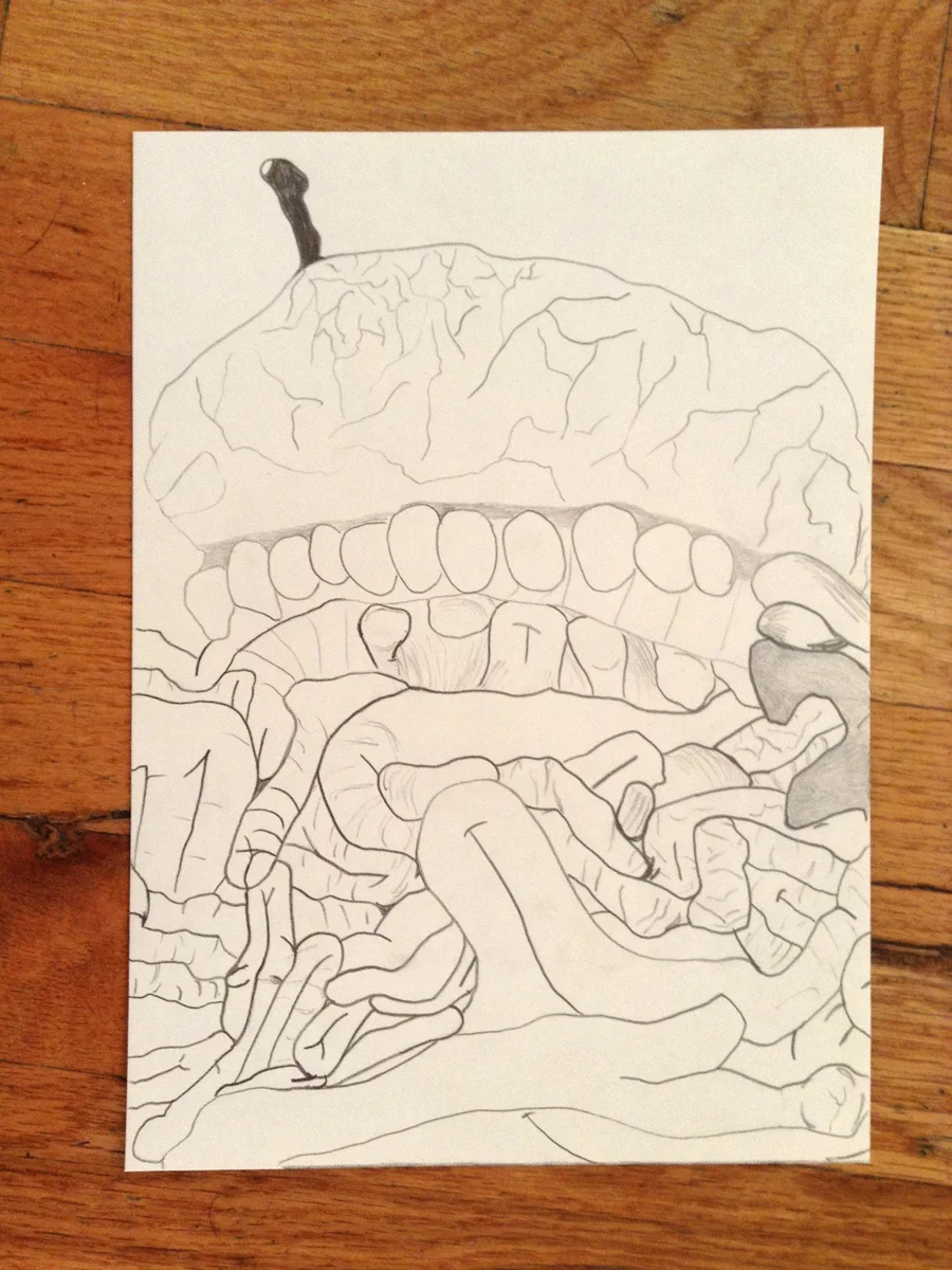  The appendix (lost sock) 