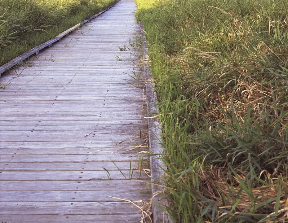 Wood-Walkway-1-web.jpg
