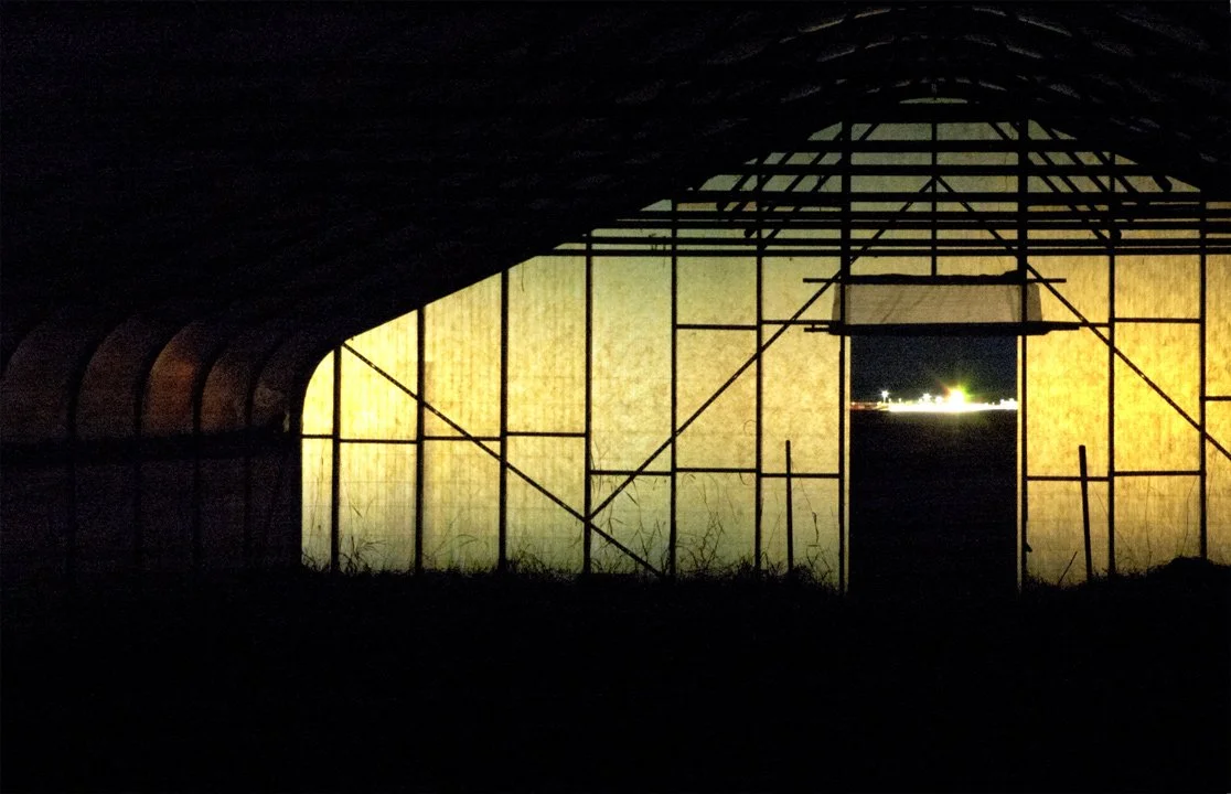 greenhouse-night-web.jpg