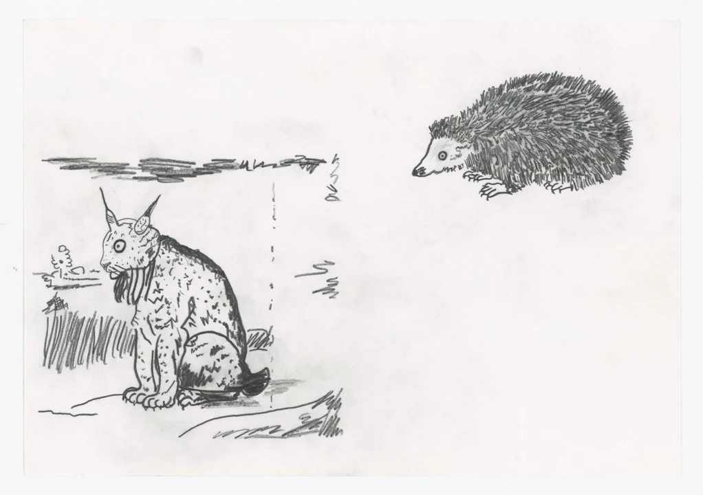 3-After-Durer-Bobcat-web.jpg
