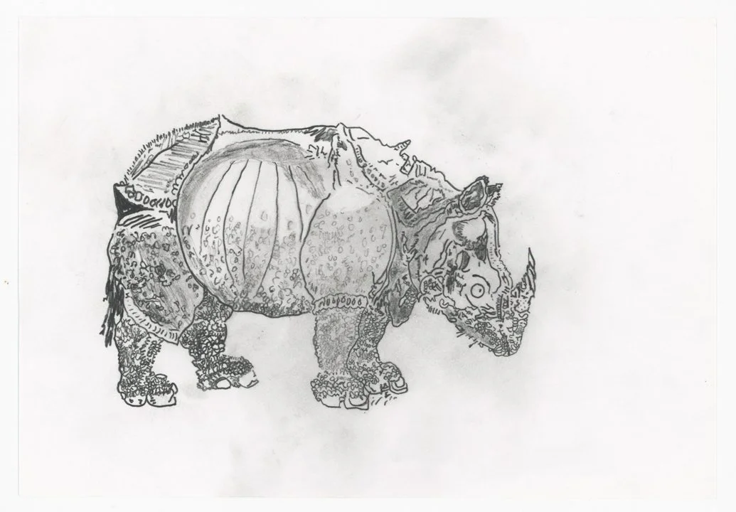 12-After-Durer-Rhinoceros-web.jpg